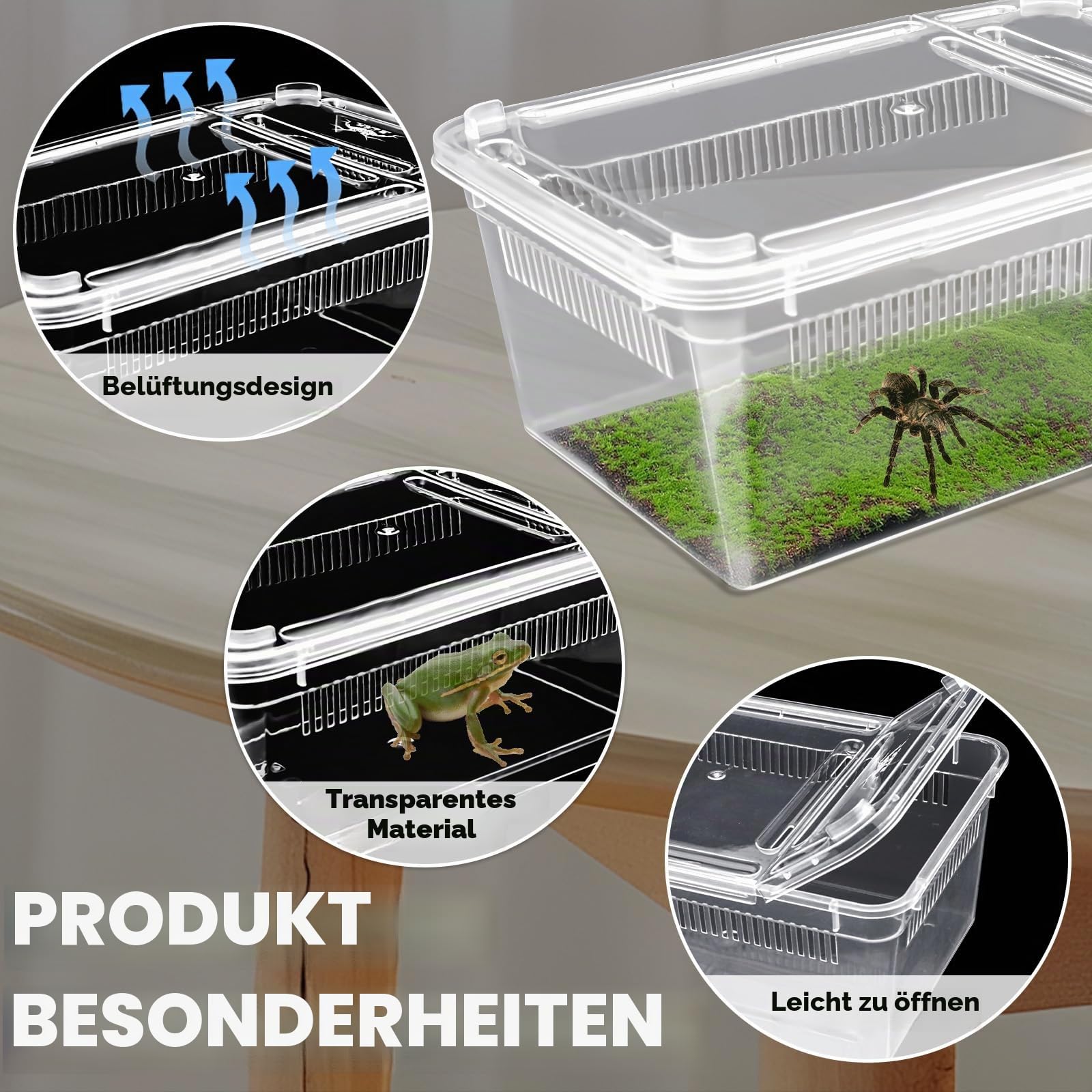Isopod Futterbox für Reptilien, Kunststoff-Terrarium, Reptilienzuchtbox für Bartgecko, Drache, Eidechse, Spinne, Frosch, Rreptilienträger (transparent), 10 Stück