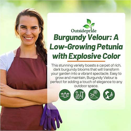 Miniatura 6 de Outsidepride Semillas de petunia de terciopelo burdeos Easy Wave  15 unidades. Semillas de flores anuales, compactas y extendidas para plantar