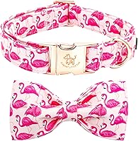 Vista 28 de Collar para perro Elegant Little Tail con moño, estampado de pepinillos, collar de moño lindo para perros pequeños