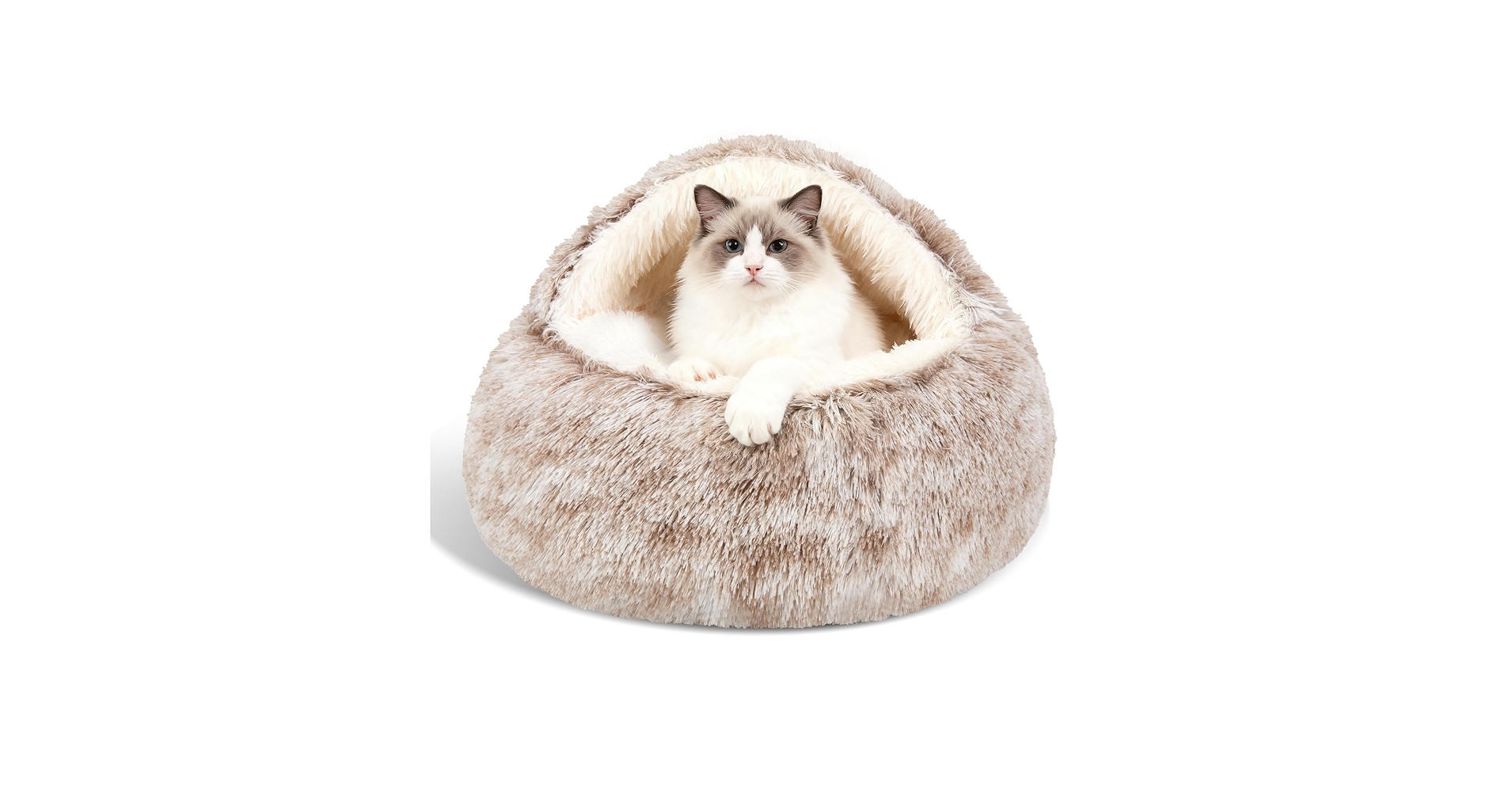 Performance and Real-World Testing