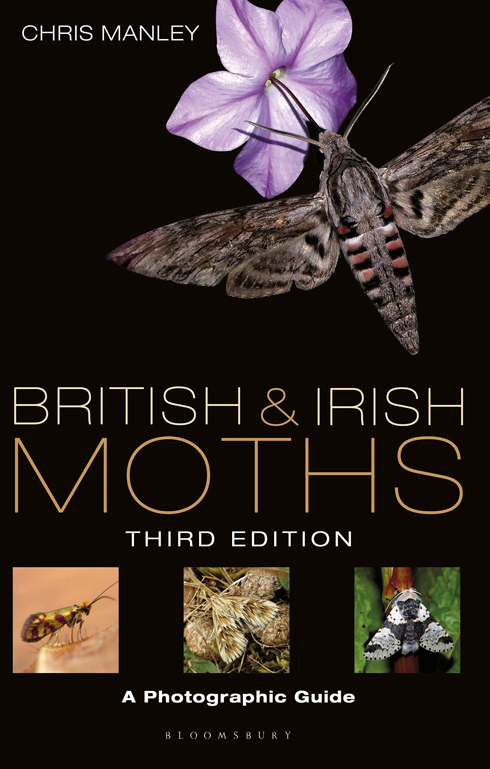Bloomsbury British Moths: Third Edition
