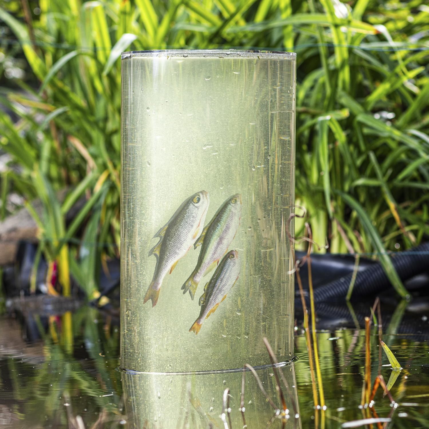 Fischsäule Teichsäule Teich-Deko transparent