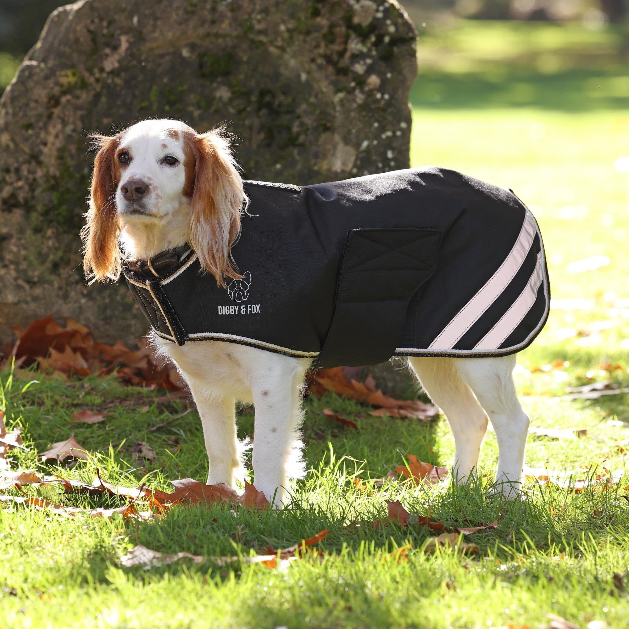 Shires Digby & Fox Waterproof Dog Coat - Black