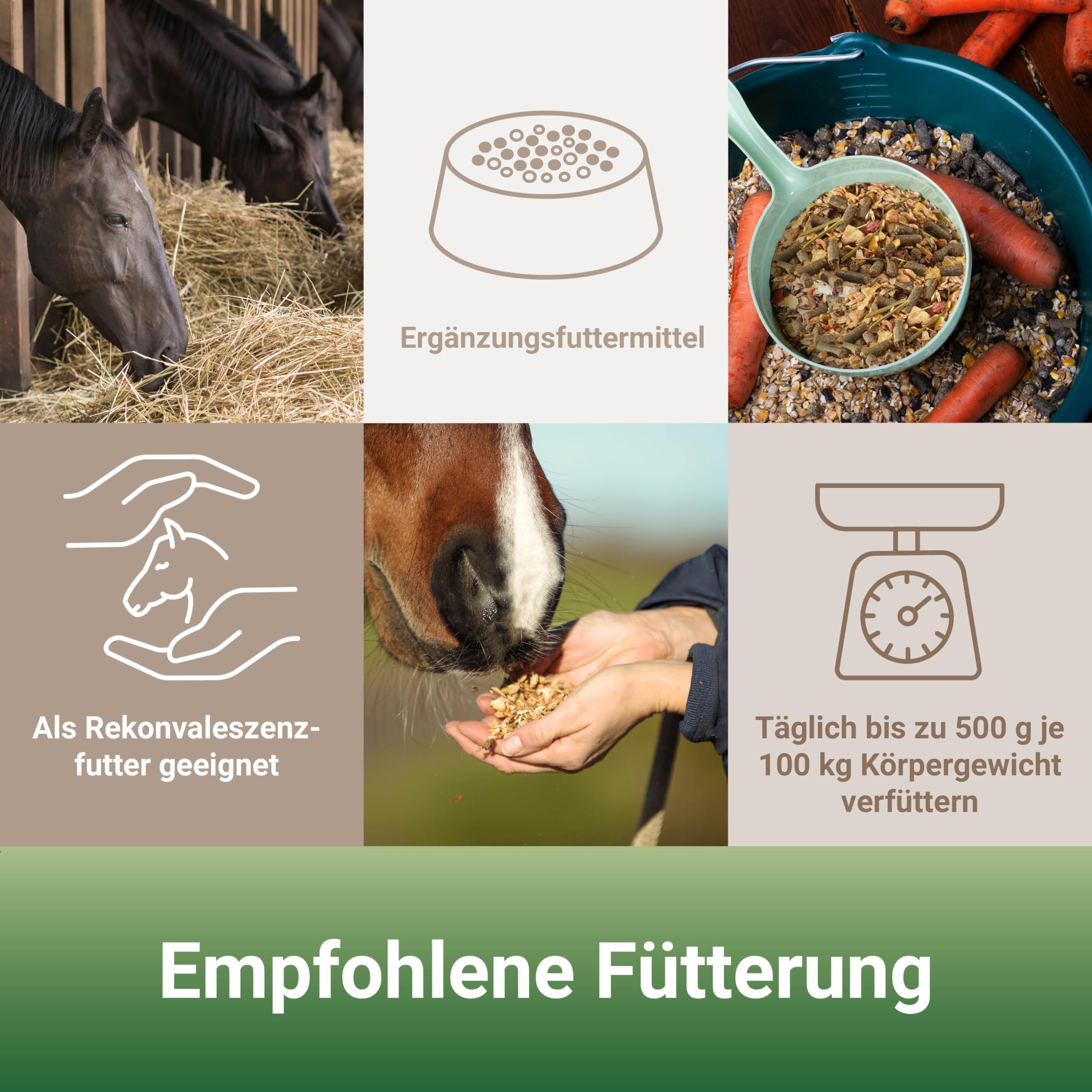 PANTO Pure Nature 15 kg – Pferdefutter Strukturfutter mit Wisan-Lein