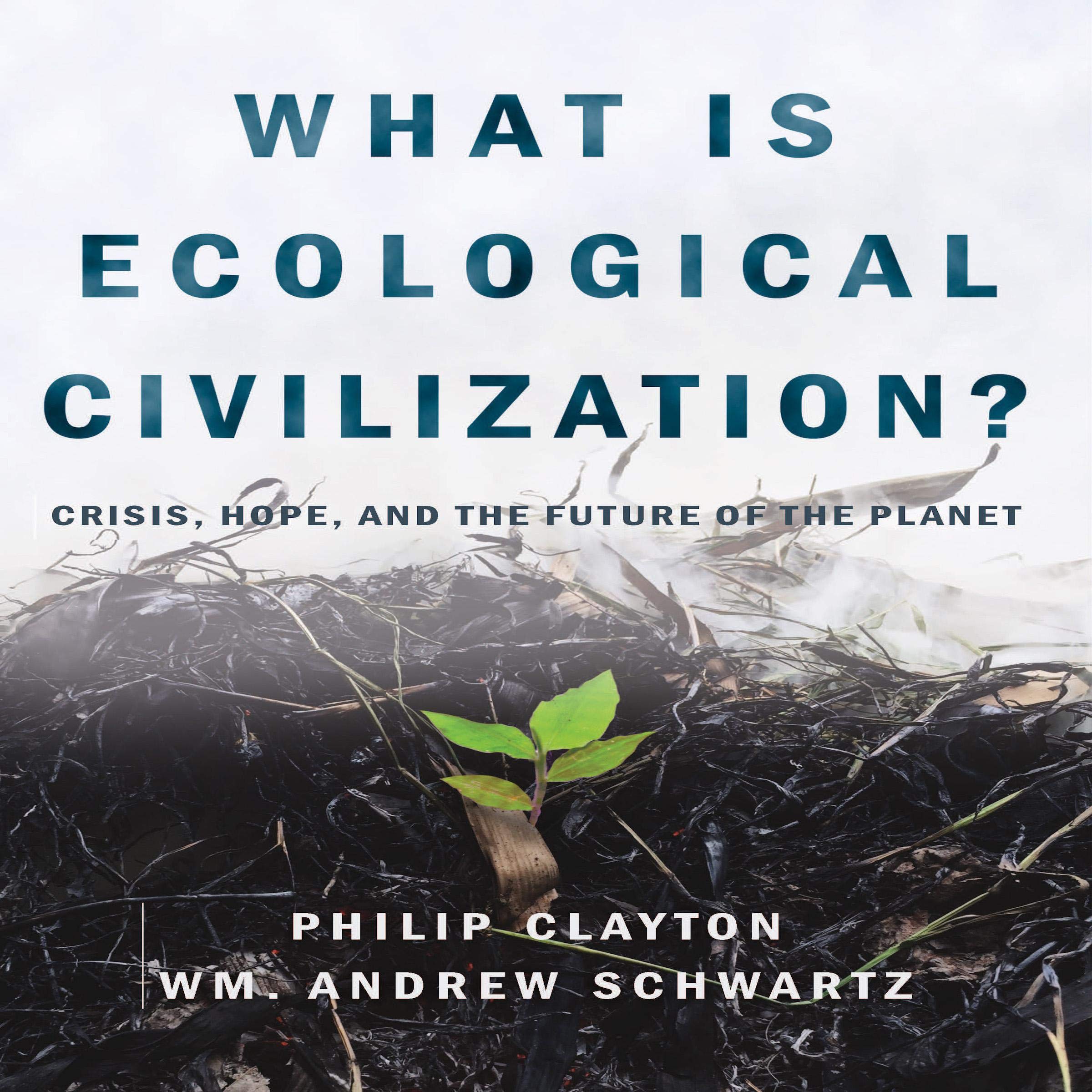 What Is Ecological Civilization?
