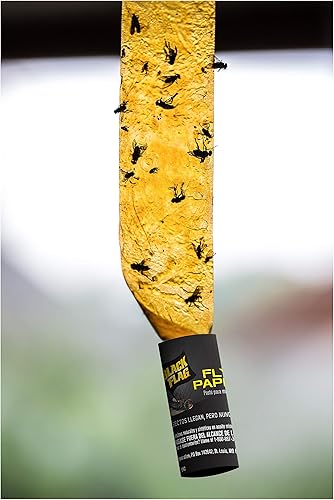 Miniatura 4 de Black Flag Papel para moscas, trampa para insectos, atrapa todos los insectos voladores, 4 trampas (paquete de 2)