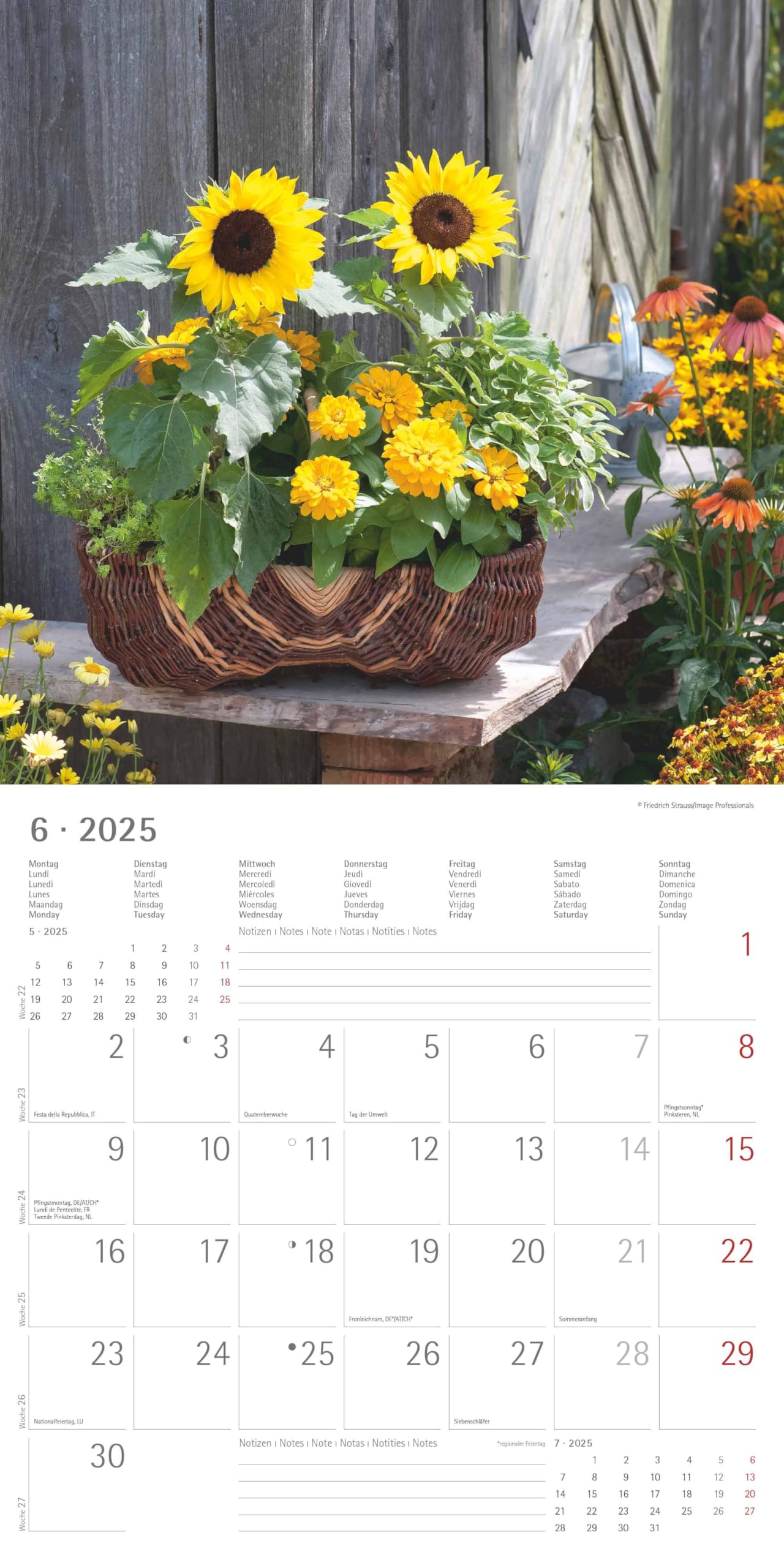 Garden & Decoration 2025 CALENDARIO DA PARETE 30X30 CM