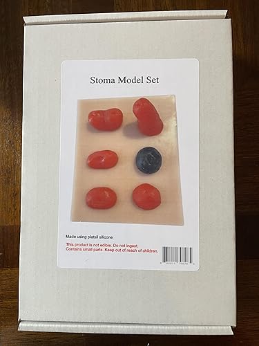 Miniatura 9 de Conjunto de modelos de estoma de silicona para simulación, práctica de cuidado de ostomía, demostración, 6 estomas