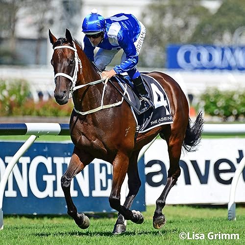 Miniatura 5 de Serie tradicional de Breyer.