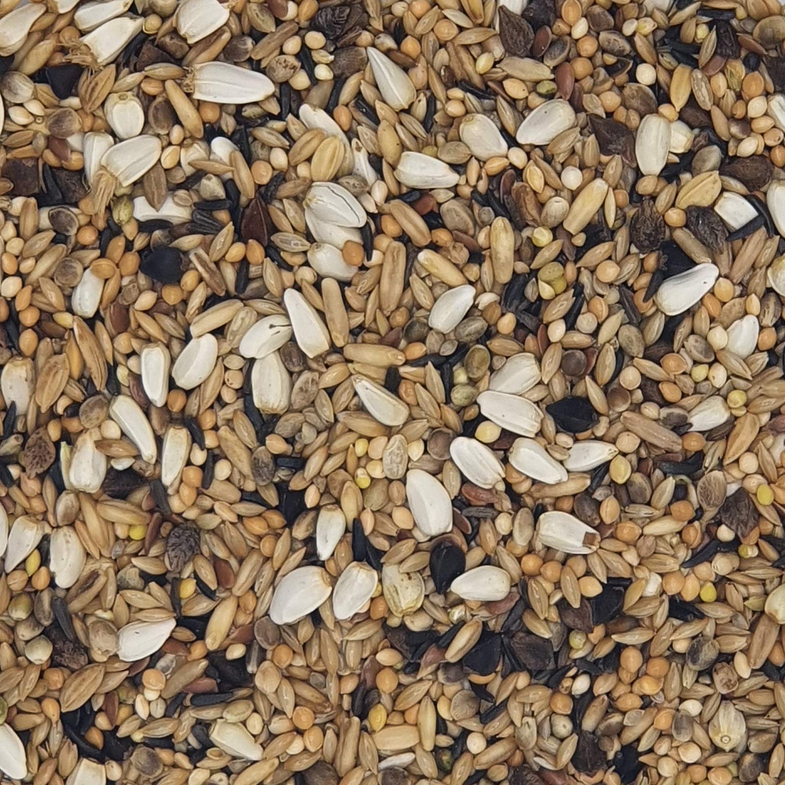 Große Wellensittiche Spezial 20 kg