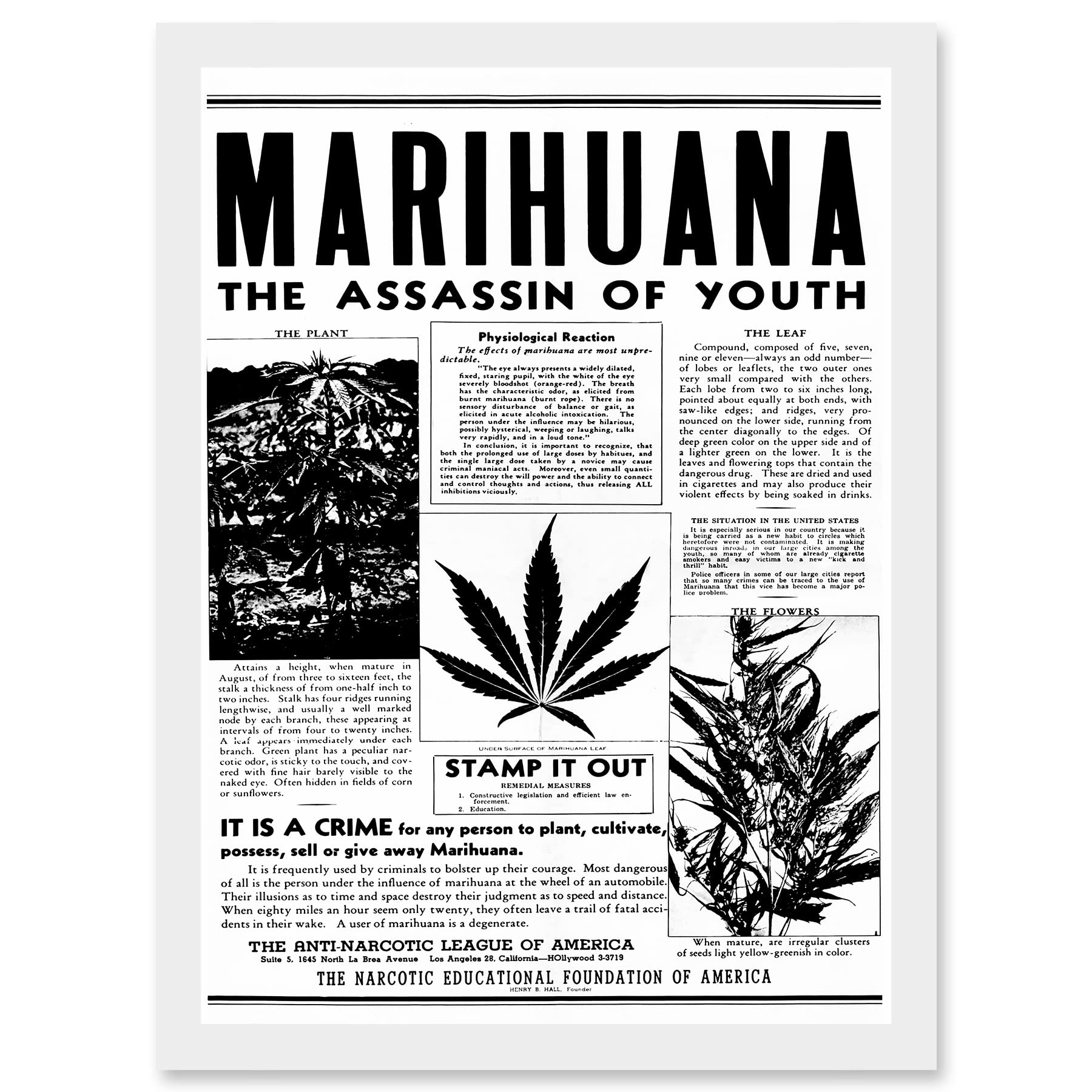 Artery8 Warning Marijuana Weed Cannabis Panic USA Drug Advertising A4 Artwork Framed Wall Art Print