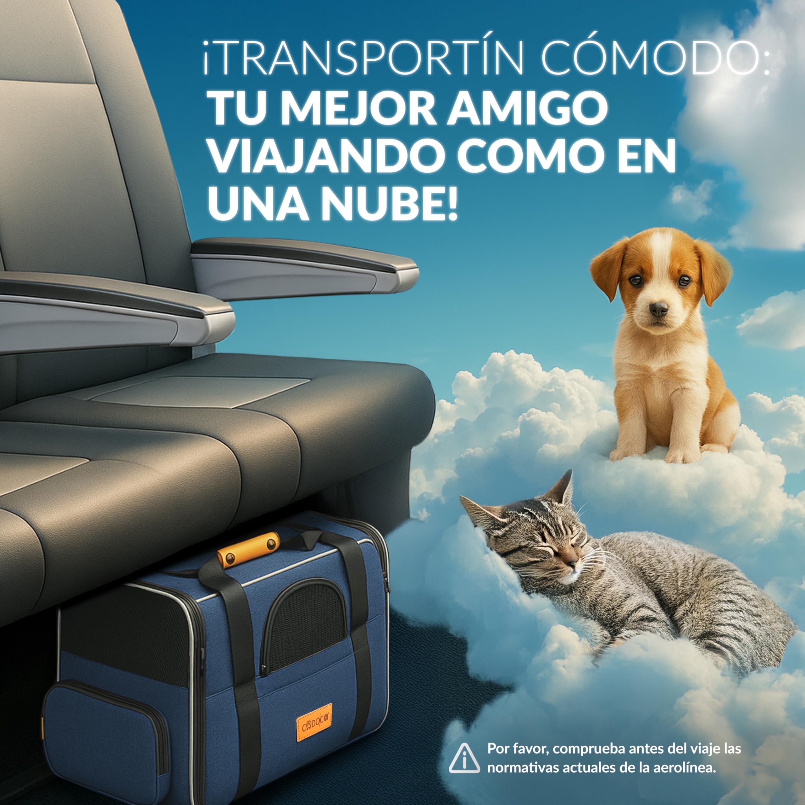 CADOCA® Transportín Perros Gatos Plegable Bolsa Transporte Mascotas Cojín Comedero Bandas Reflectantes Compacto Ligero Viajes Coche Tren Azul