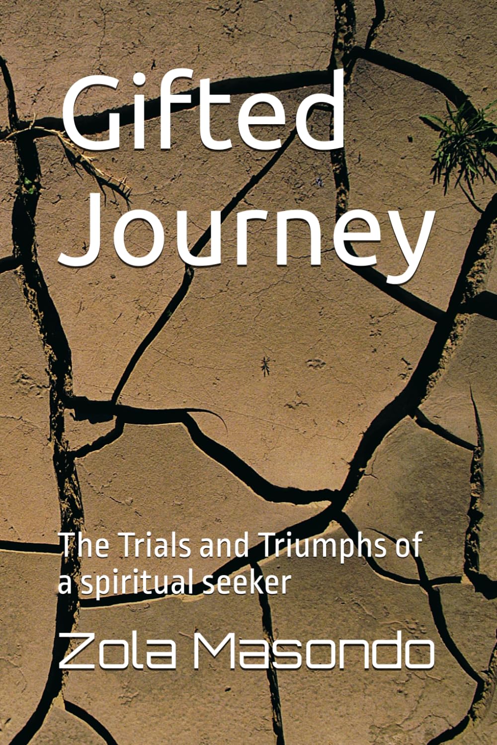 Gifted Journey: The Trials and Triumphs of a spiritual seeker