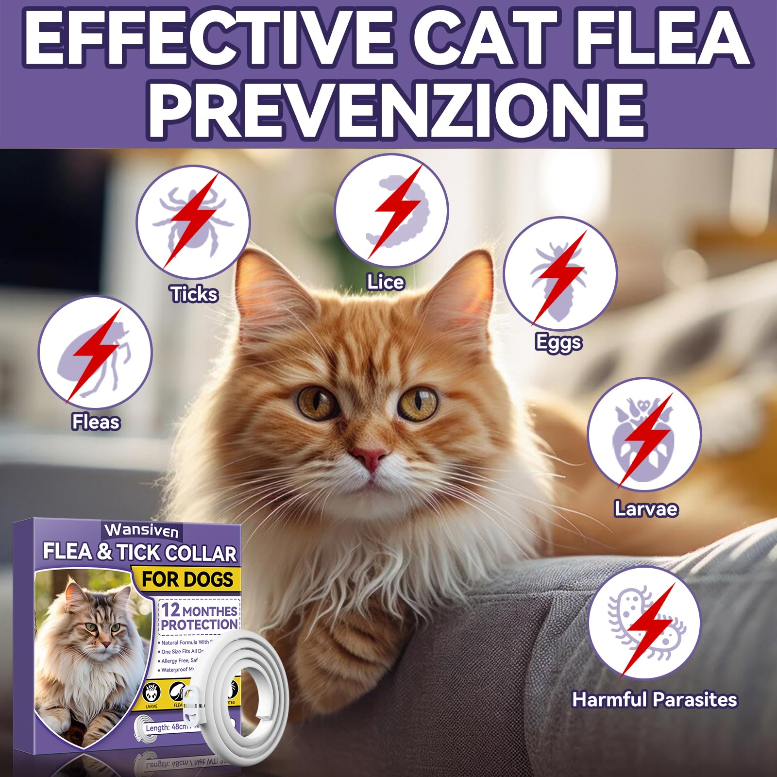 Wansiven Collar Antipulgas para Gatos, Ajustable Collar Antipulgas, Piojos, Pulgas, Parásitos, Adecuado para Gatitos, Gatos Medianos y Grandes 48cm