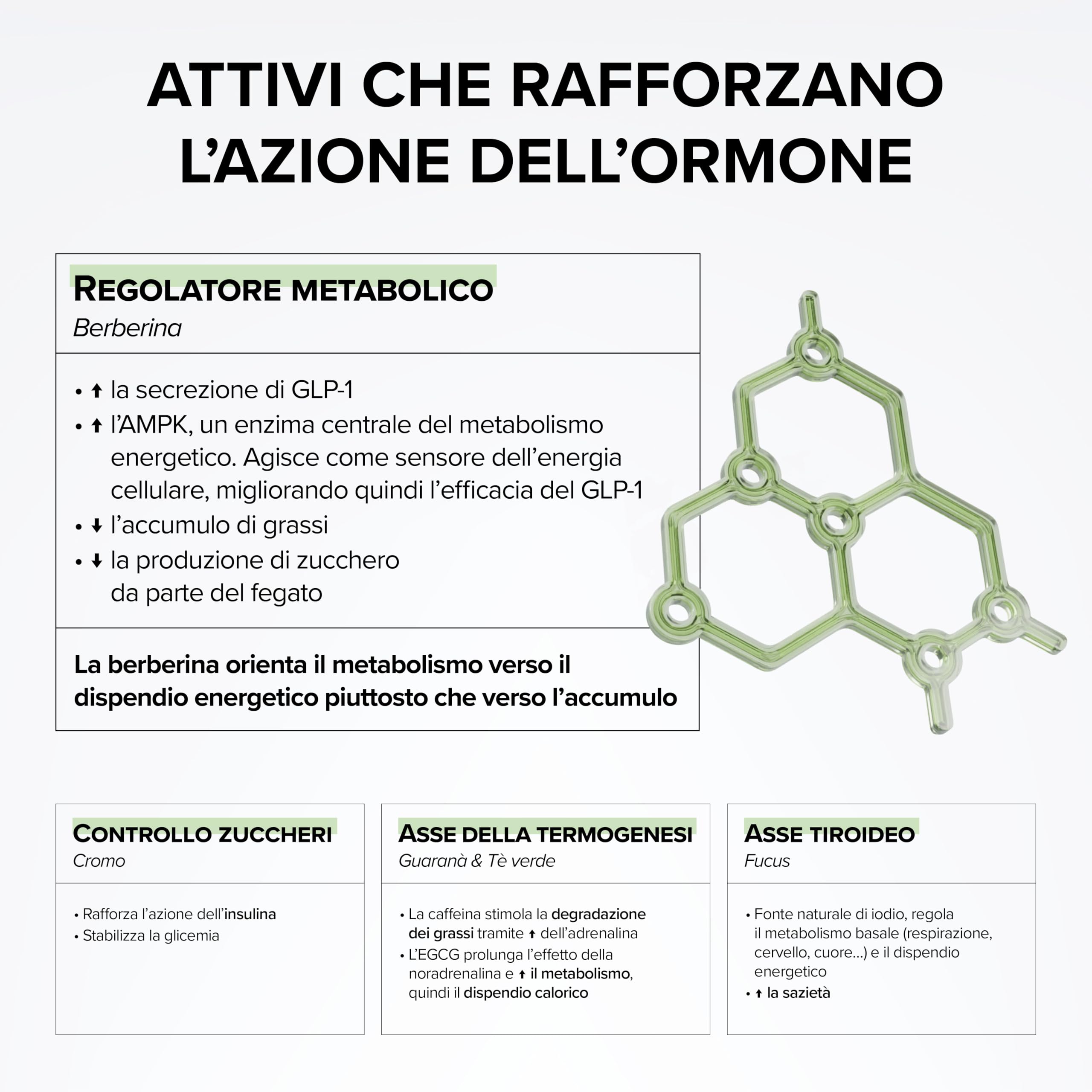 GLP-1 Boost – Con Berberina – Cromo 250 µg – Tè Verde, Fucus & Guaranà – Sazietà & Glicemia – Metabolismo – 100% Vegano – 60 capsule – Prodotto in Francia – Beyond Elements