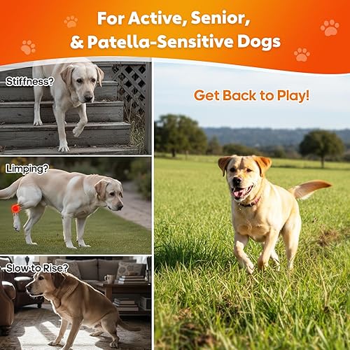 Miniatura 4 de Glucosamina para perros, suplemento de cadera y articulaciones, golosinas masticables para perros con MSM, condroitina para aliviar el dolor en las