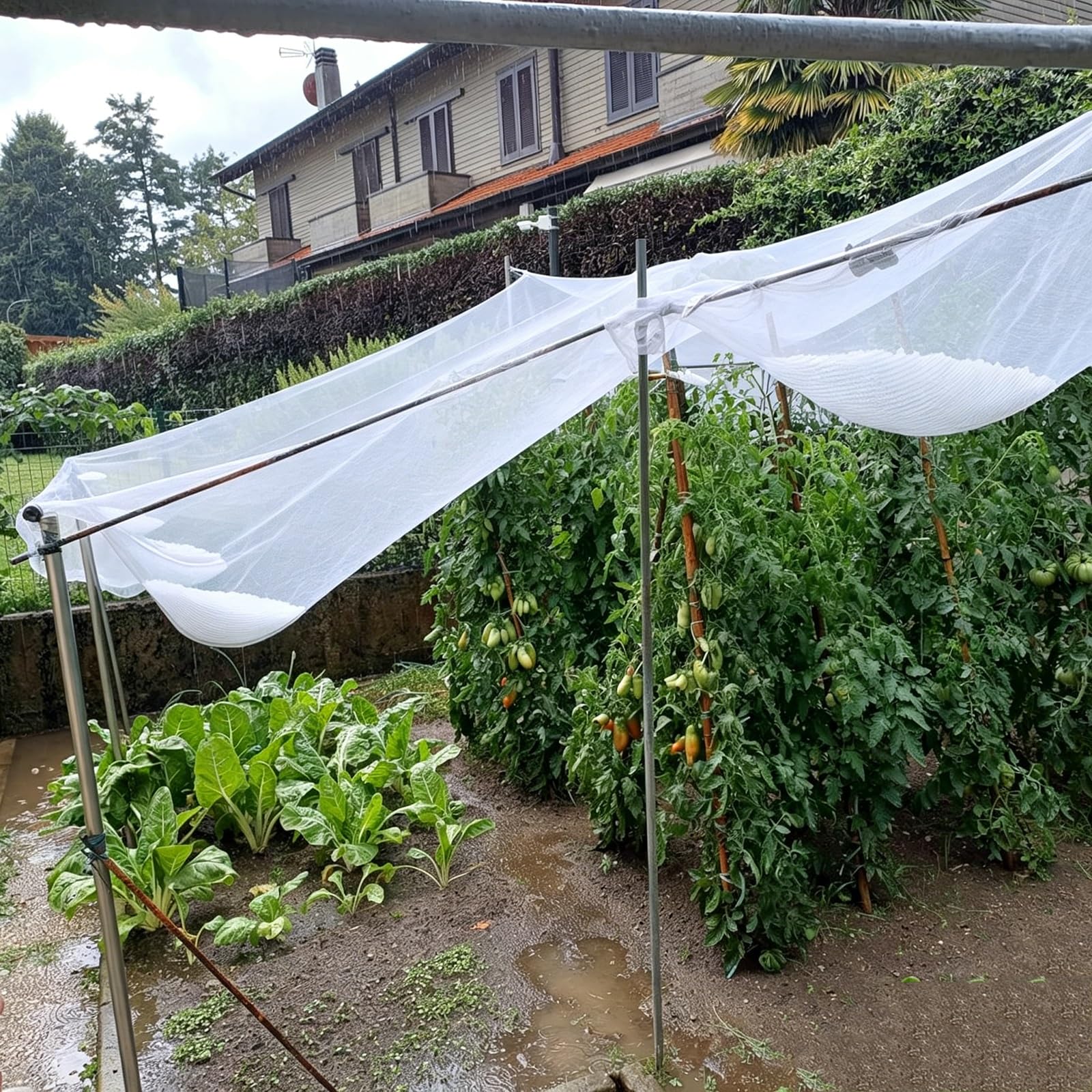 Red de Protección contra Granizo, Malla Antigranizo Reutilizable Alta Resistencia con Hilos Reforzados para Huerto Plantas de Jardín, Resistente a Desgarros, Malla de 5 mm(3 x 100 m/9.8 x 328.1 ft)