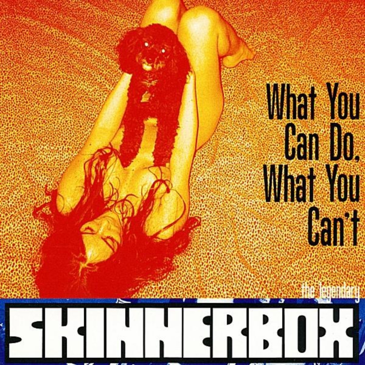 Skinnerbox