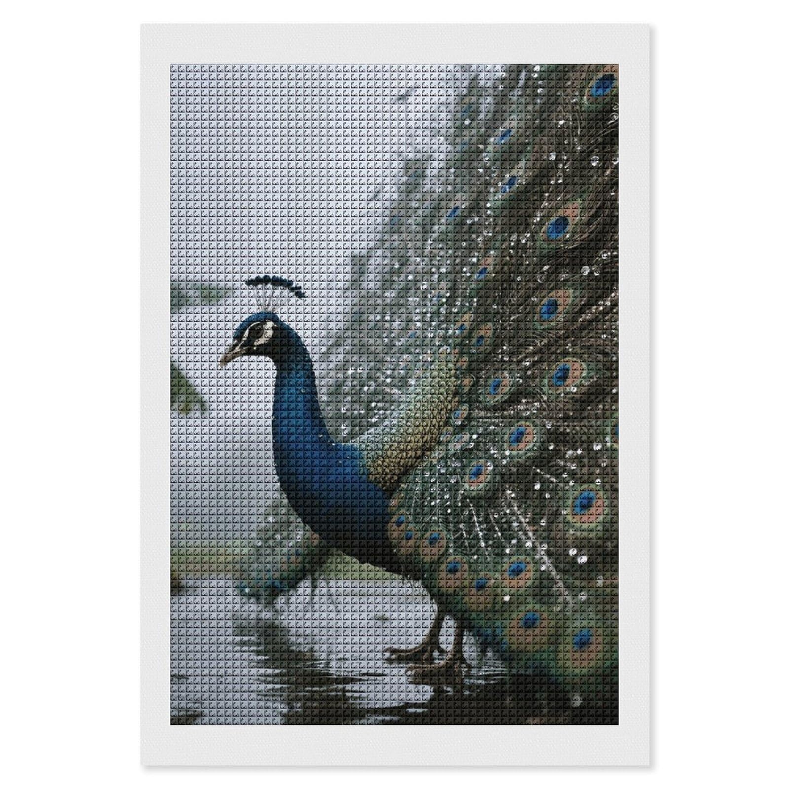FodPand Peacock 5D Diamond Painting Kits for Adults Beginners Full Drill Square Diamond Dots Pictures Gem Art Supplies for Home Wall Room Decoration DIY Craft Set Gift 8x12