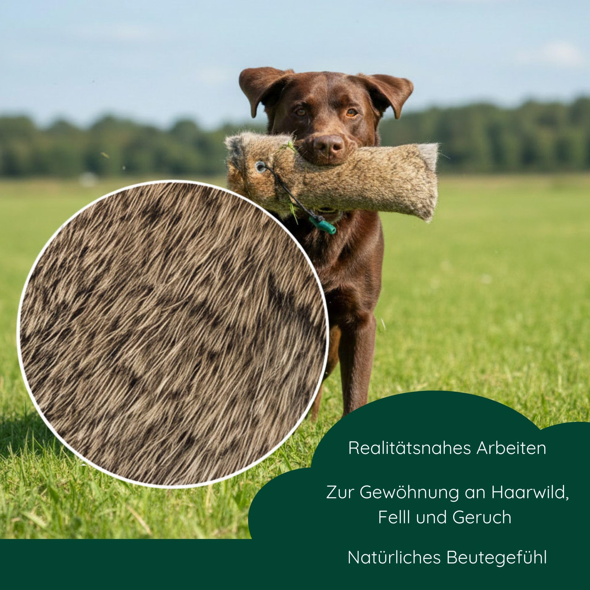 ROMNEYS Kaninchendummy | Standard-Dummy 500g mit echtem Kaninchenfell überzogen | Wild-Apportel für die jagdliche Hundeausbildung