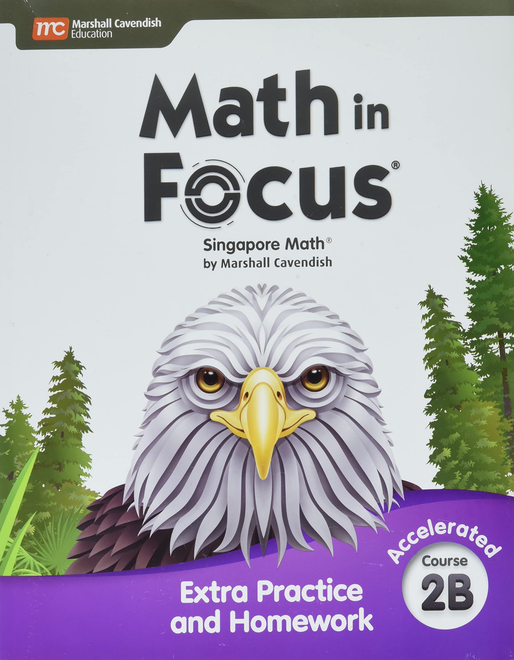Extra Practice and Homework Volume B Accelerated (Math in Focus)
