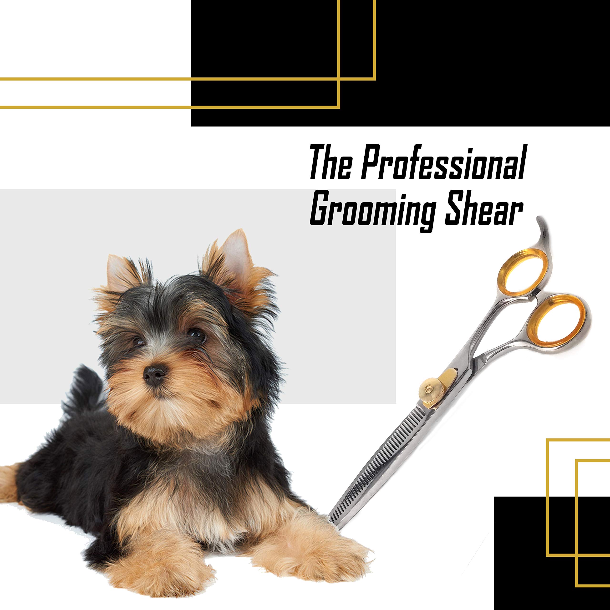 Sharf Ciseaux à effiler Gold Touch - 17,8 cm - 46 dents - Ciseaux de toilettage professionnels pour chien - Pointe fine - Ciseaux à effiler japonais en acier inoxydable 440 C
