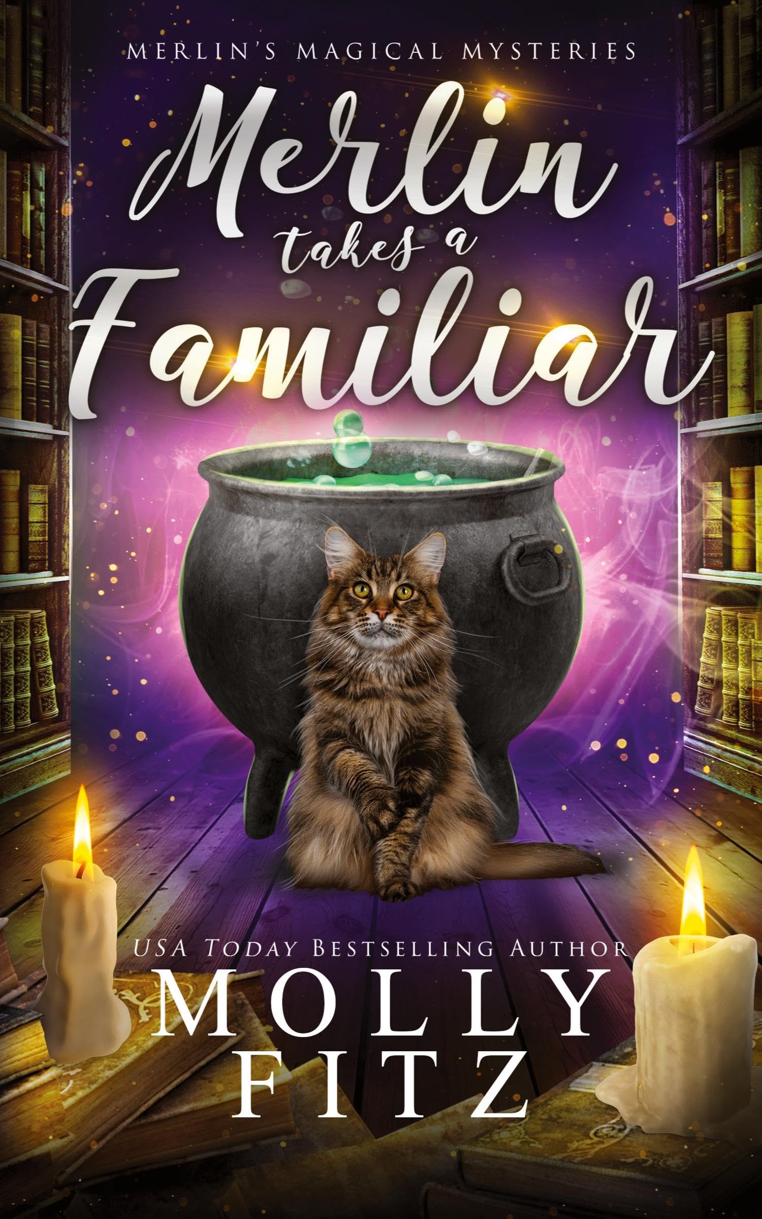Merlin Takes a Familiar: 1 (Merlin's Magical Mysteries)
