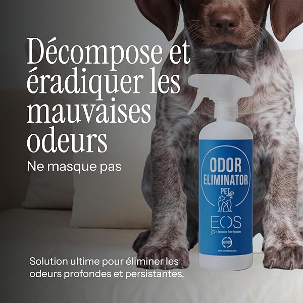 EOS (1 litre) Elimine instantanément les odeurs d'animaux domestiques. pour tous types d'animaux (chiens, chats...) et applications (canapés, litières, lits) Nettoyeur d'urine enzymatique - 2