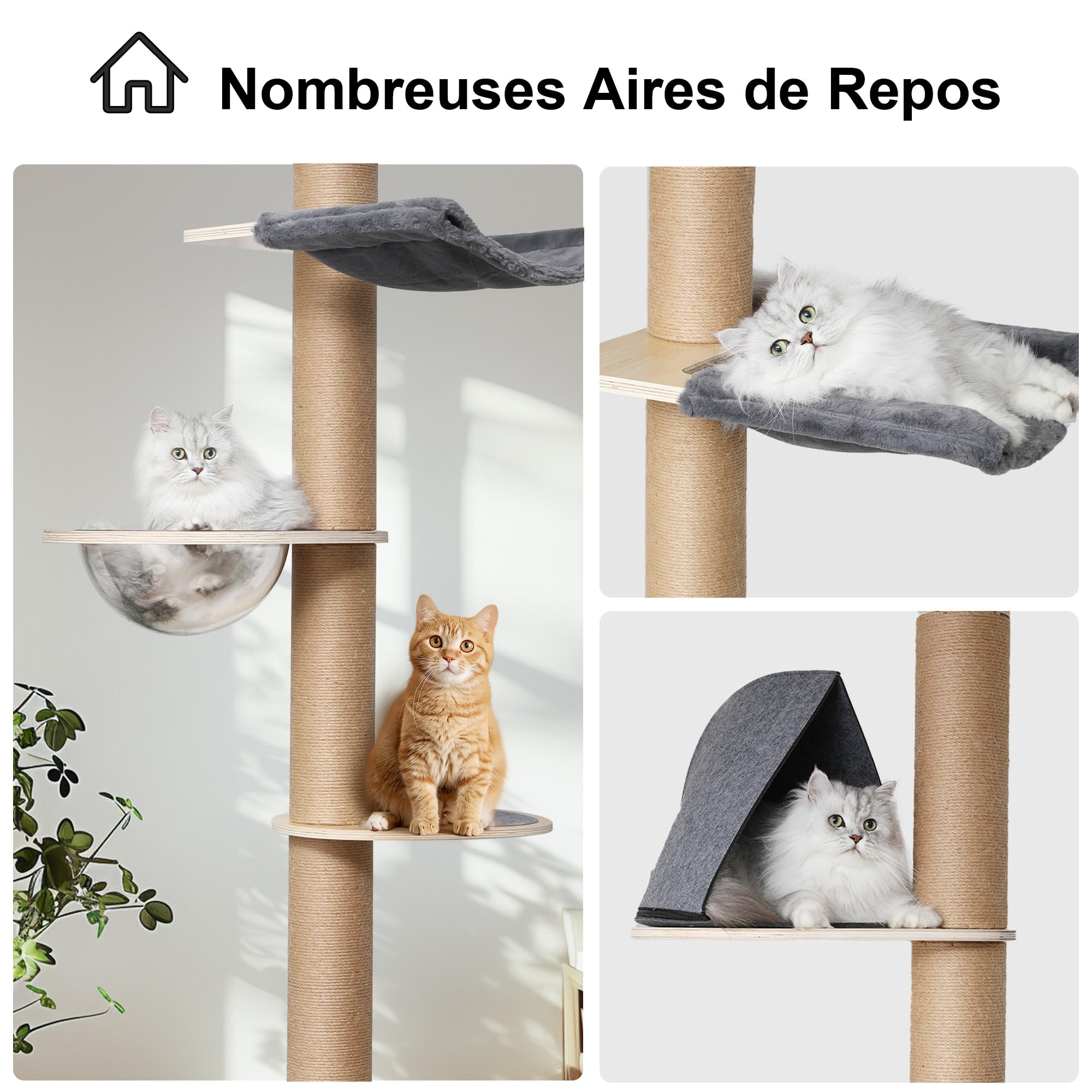 FUKUMARU Arbre à Chat du Sol au Plafond, Tour d'escalade à 6 Niveaux de Hauteur Réglable avec Griffoirs Épais, Centre d'Activité pour Chat avec Capsule Transparente et Hamac Douillet
