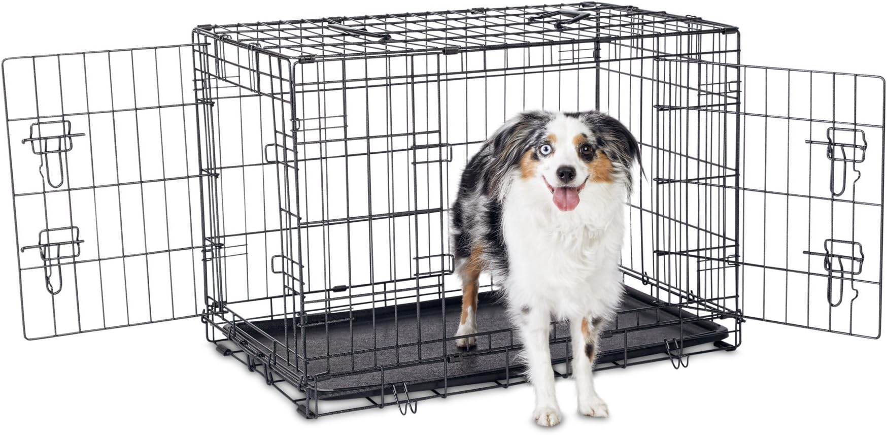Petco Premium 2-Door Dog Crate, 30" L x 19" W x 21" H