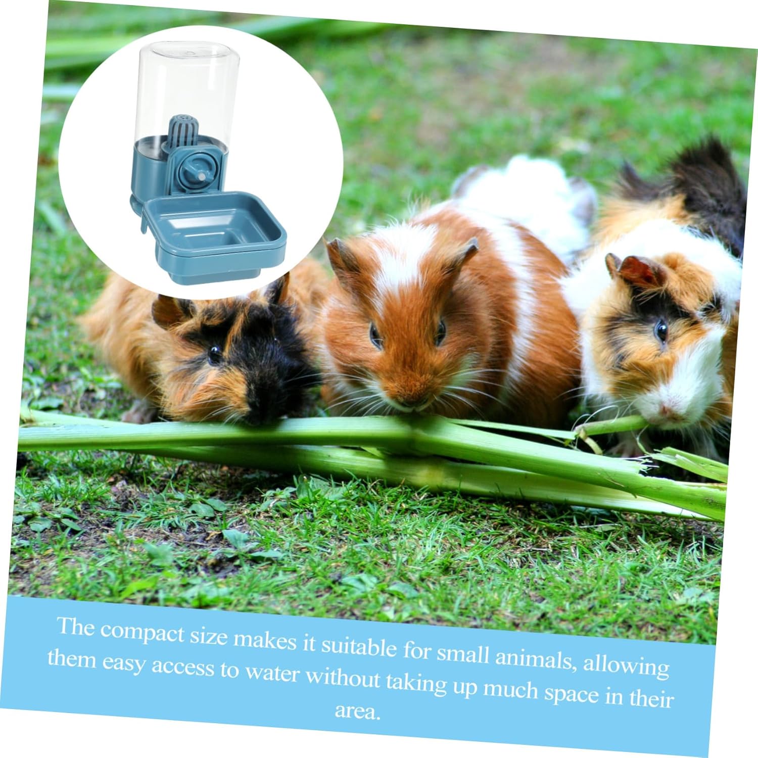 POPETPOP Hanging Rabbit Water Bottle Large Capacity Leak-Proof PET Water Dispenser Filter for Small Animals for Bunny Feeding and Watering