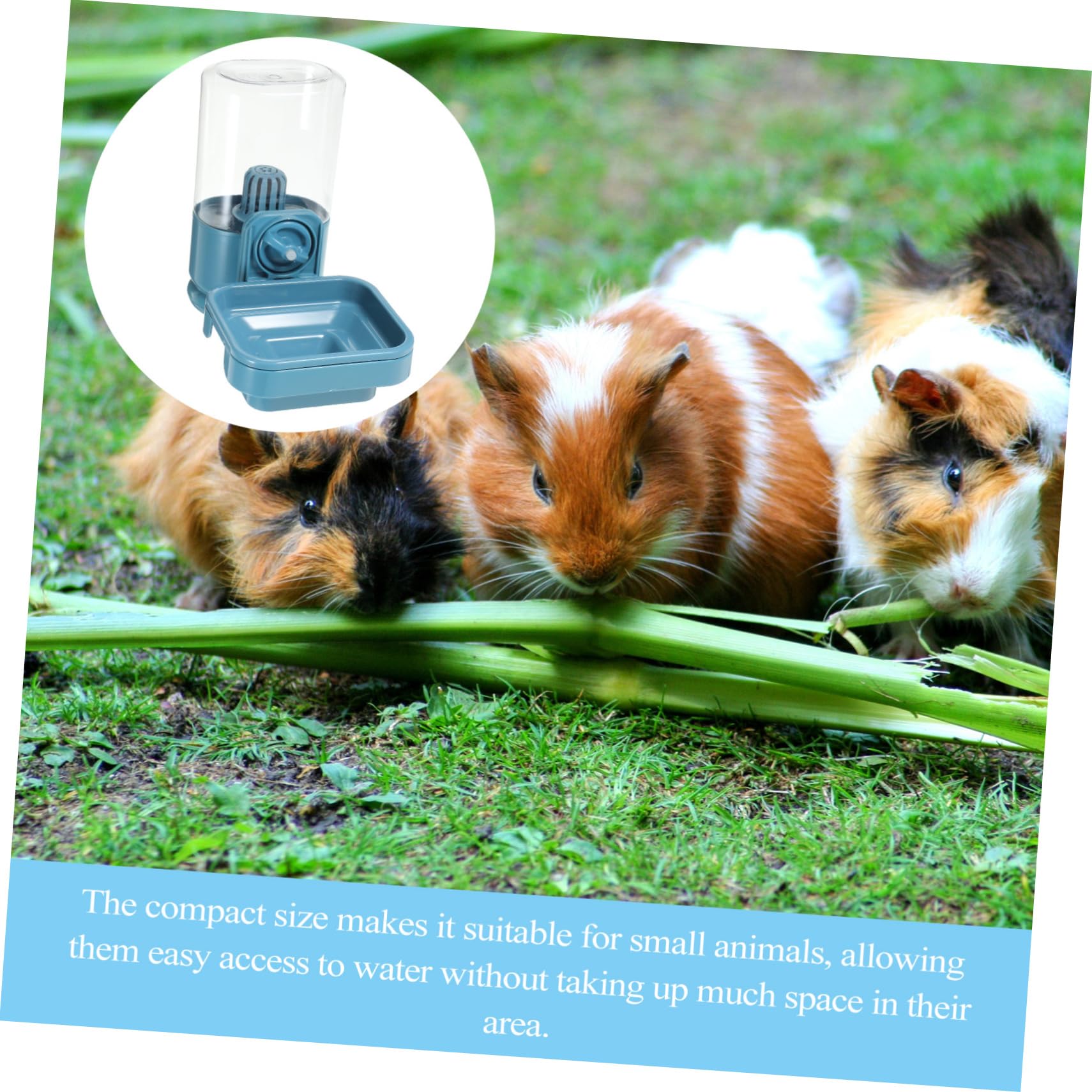 Kaninchen Wasserspender mit 750ml für Transport und Käfig aus Kunststoff