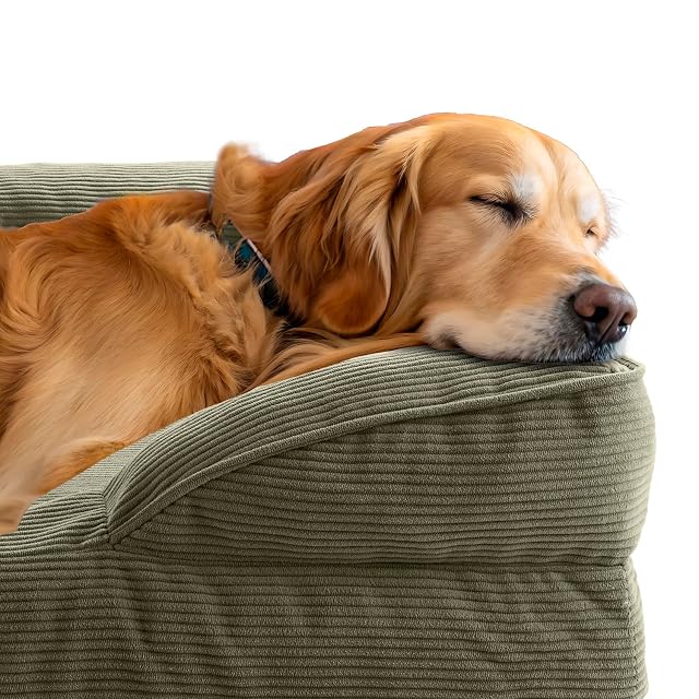 Foto 3 de 5 de Lumaland Cama ortopédica para Perros de Pana