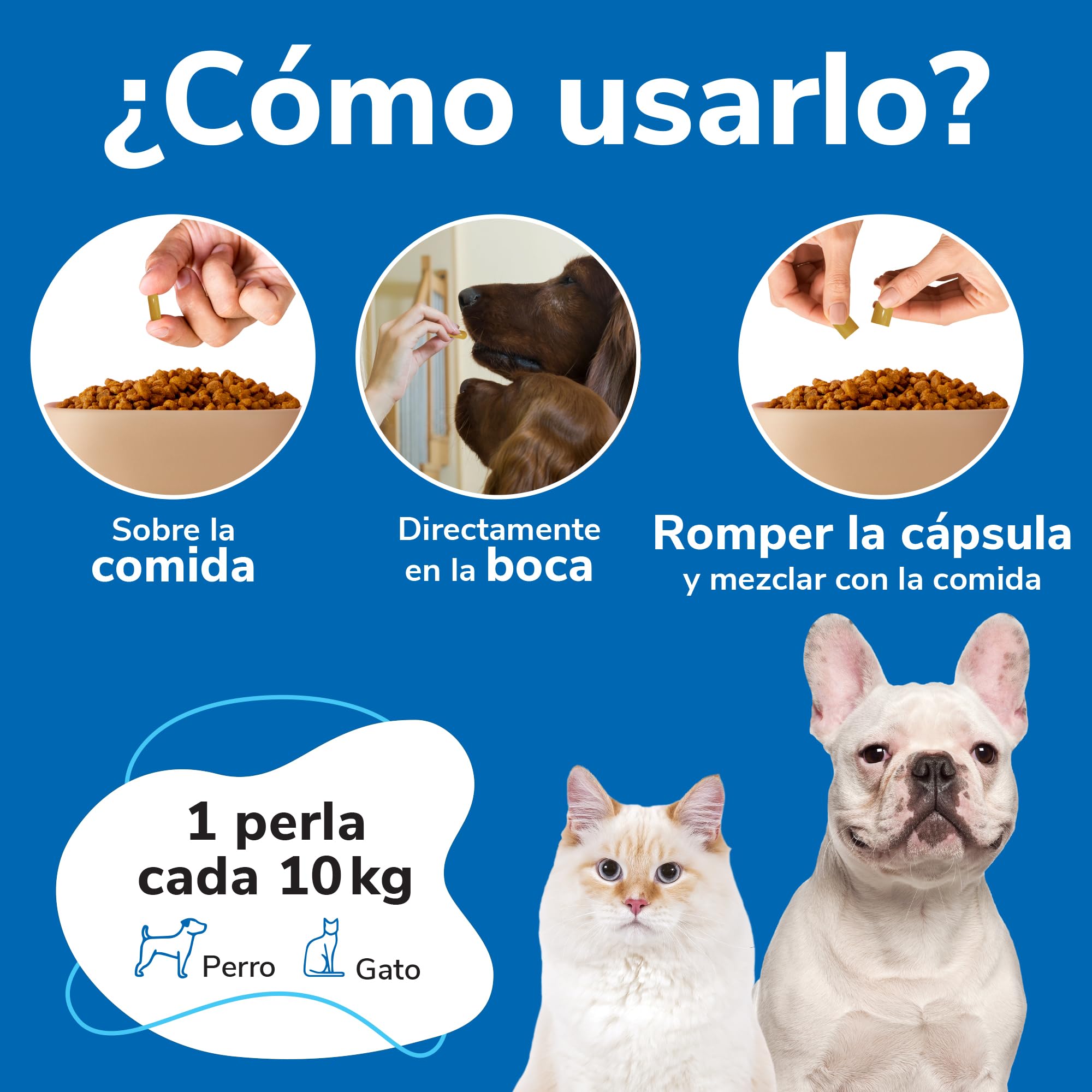 Omnicutis Atopicalm Hifarmax – Complemento Alimenticio con Omega 3, Zinc y Biotina | Apoya la Salud de la Piel en Mascotas con Dermatosis | Vitaminas para Perros y Gatos 200 Cápsulas