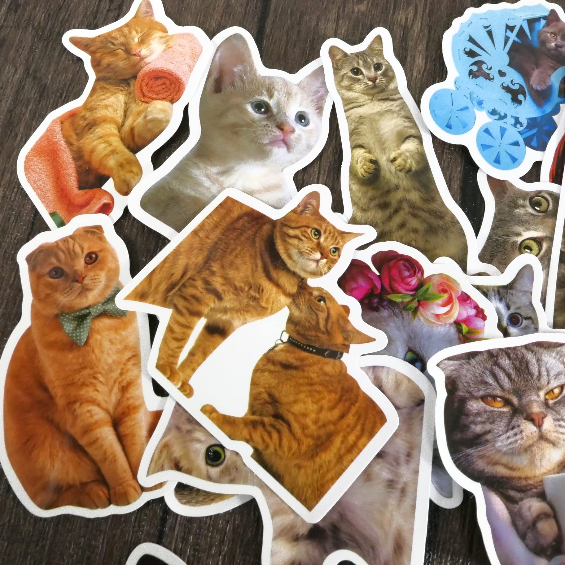 Amazon | フレークシール 猫 約200枚セット 福袋 てんこ盛り