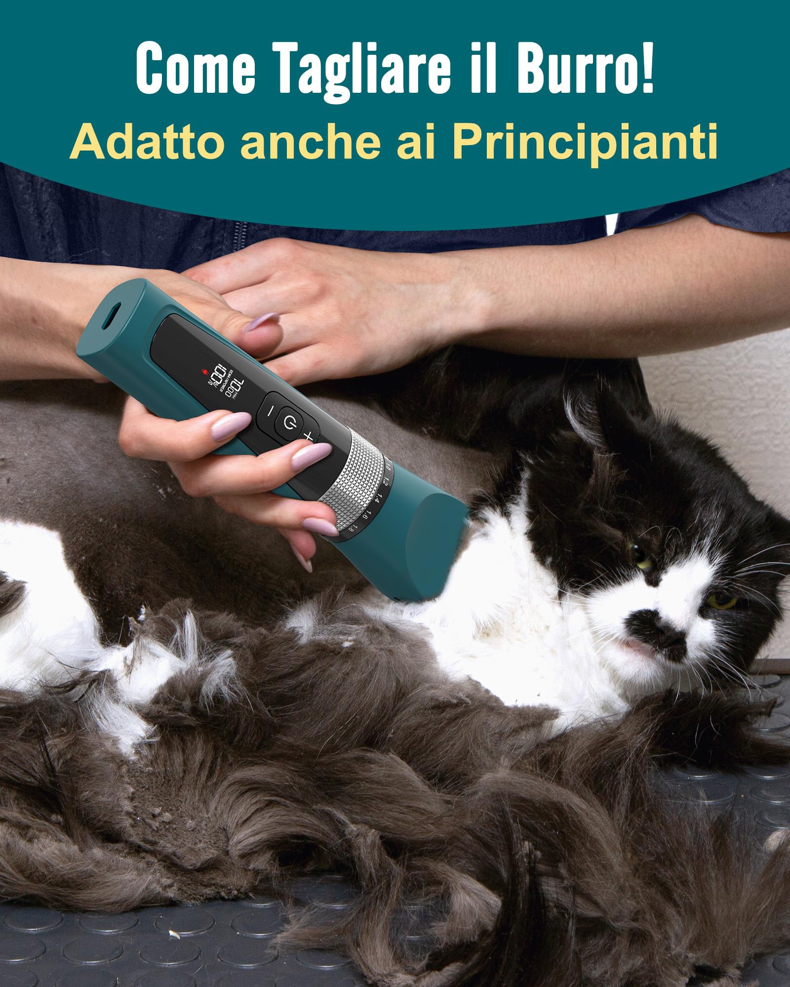 oneisall Tagliagatti silenzioso, tagliacapelli professionale per gatti a pelo lungo, rasoio per gatti a 5 velocità con display LCD, impermeabile IPX6, facile da pulire (verde)