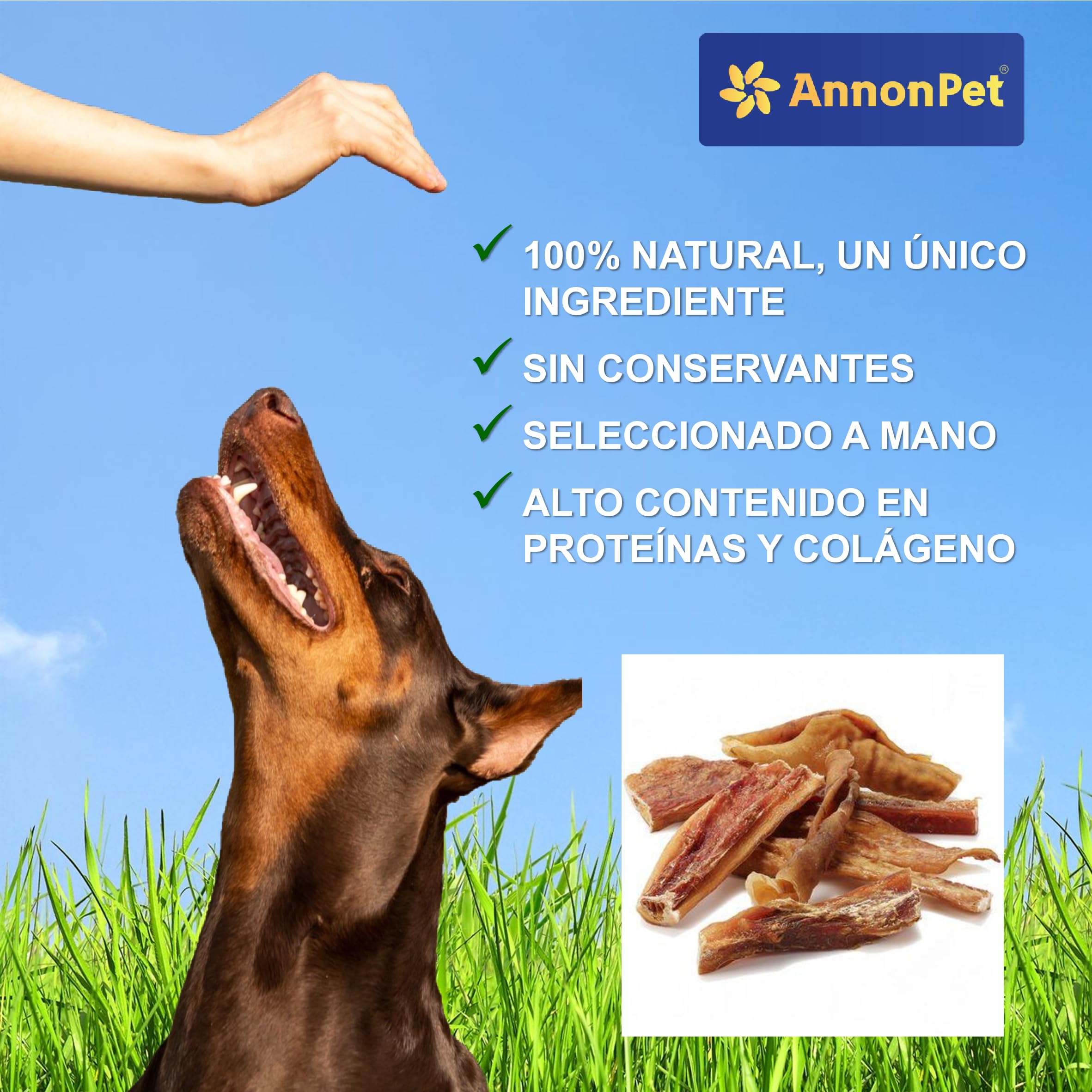 Piel de cabeza de vacuno seca 500 g – Snack natural de larga duración para perros adultos – Masticativos naturales para limpieza dental y fortalecimiento de los músculos masticadores