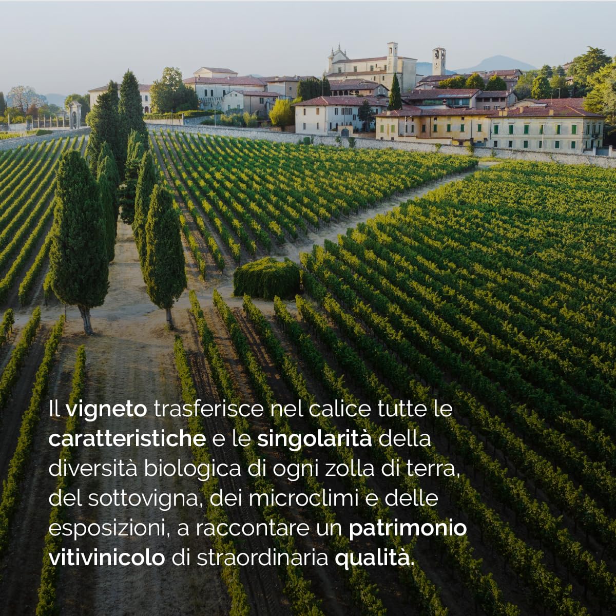 Bellavista Alma Assemblage 1 Brut - Franciacorta Astucciato DOCG - Uve Chardonnay, Pinot Nero, Pinot Bianco - 750 ml