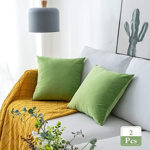 Stellhome - Juego de 2 fundas de cojín de terciopelo suave cuadradas para cama, sofá, banco, 24 x 24 pulgadas (60 x 60 cm), verde manzana