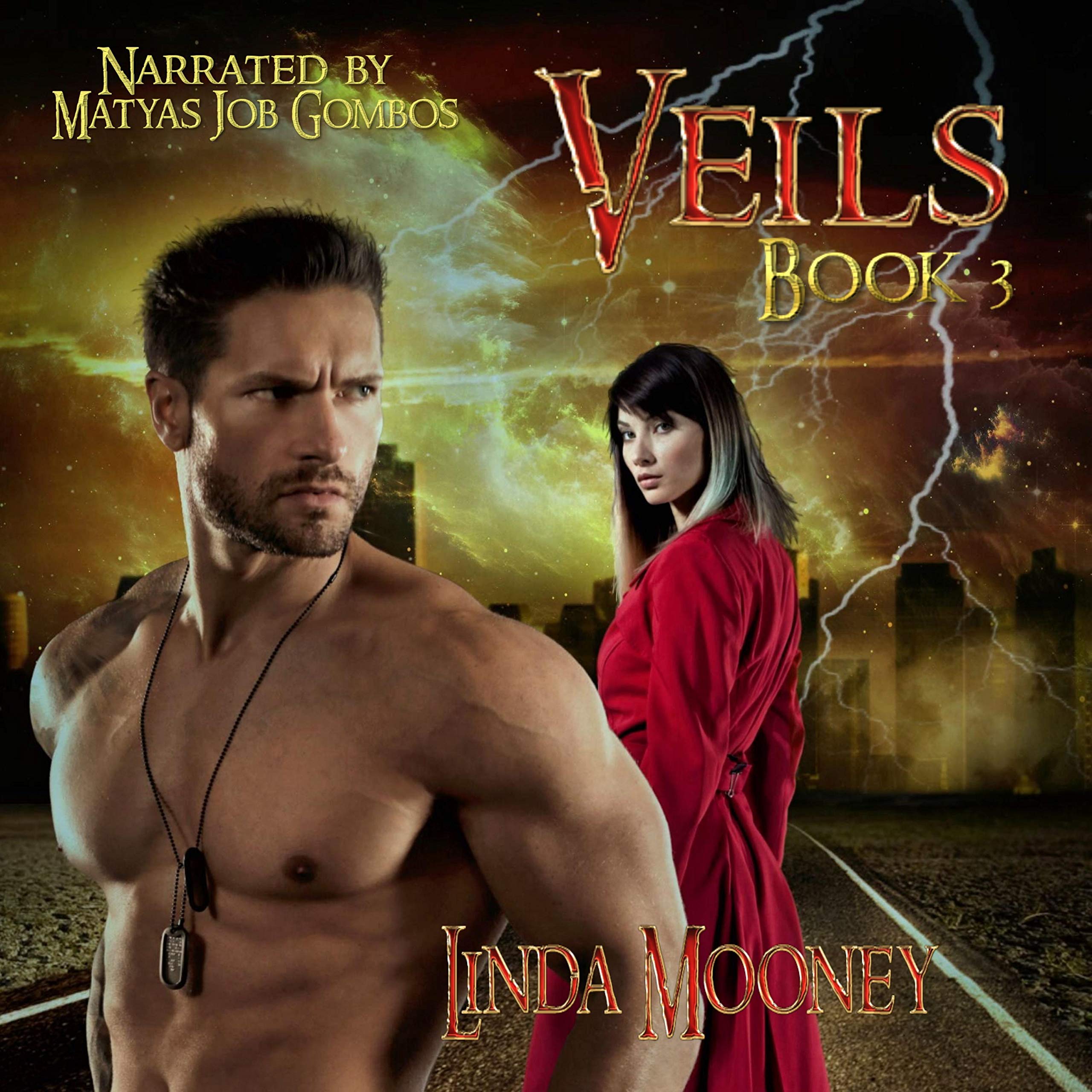 Cover art for Veils 3