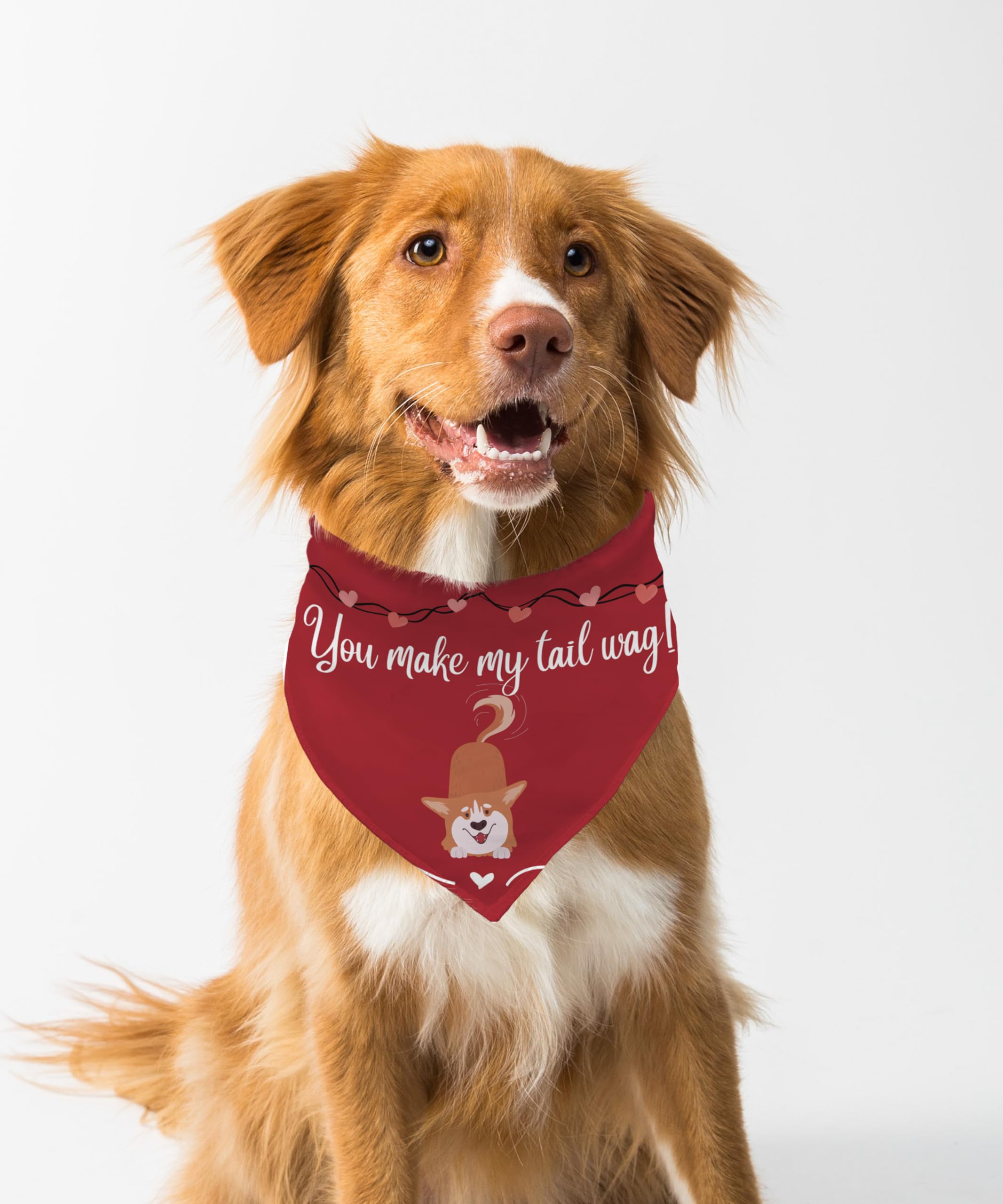 Farnup Dog Bandana | Adjustable & Comfortable, Valentines Day Collection, Graphic Printed Bandana for Dogs | Dog Scarf, Accessory | Gifts for Dogs (Design 10, S/M) (B0CV1BZRY6) Amazon Price History, Amazon Price Tracker