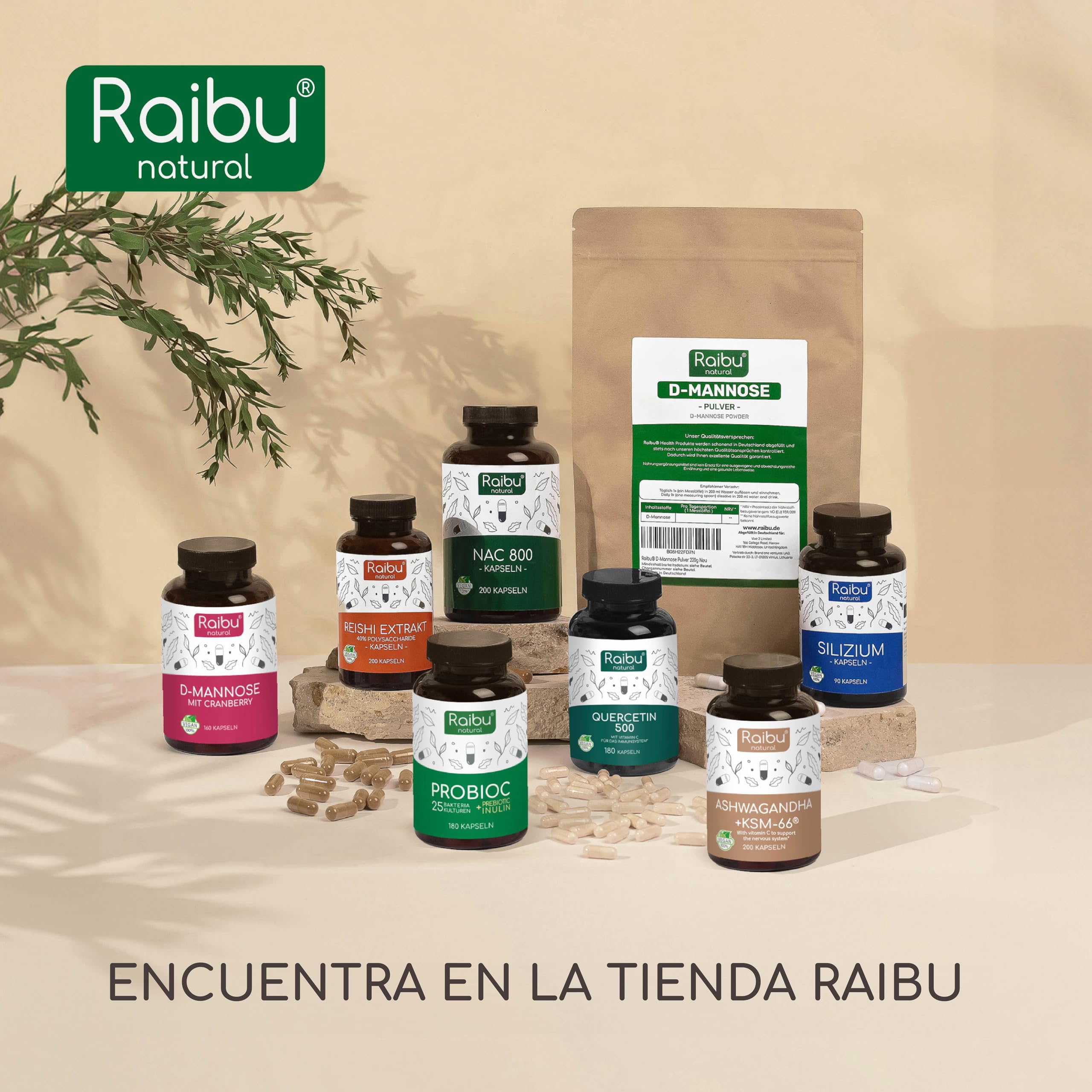 Quercetina 500 mg Pura - 180 Cápsulas Veganas para 6 Meses de Suministro - Extracto de Sophora Japonica con 95% en Quercetina - Alta Potencia, Sin Aditivos y Probado en Laboratorio - Raibu