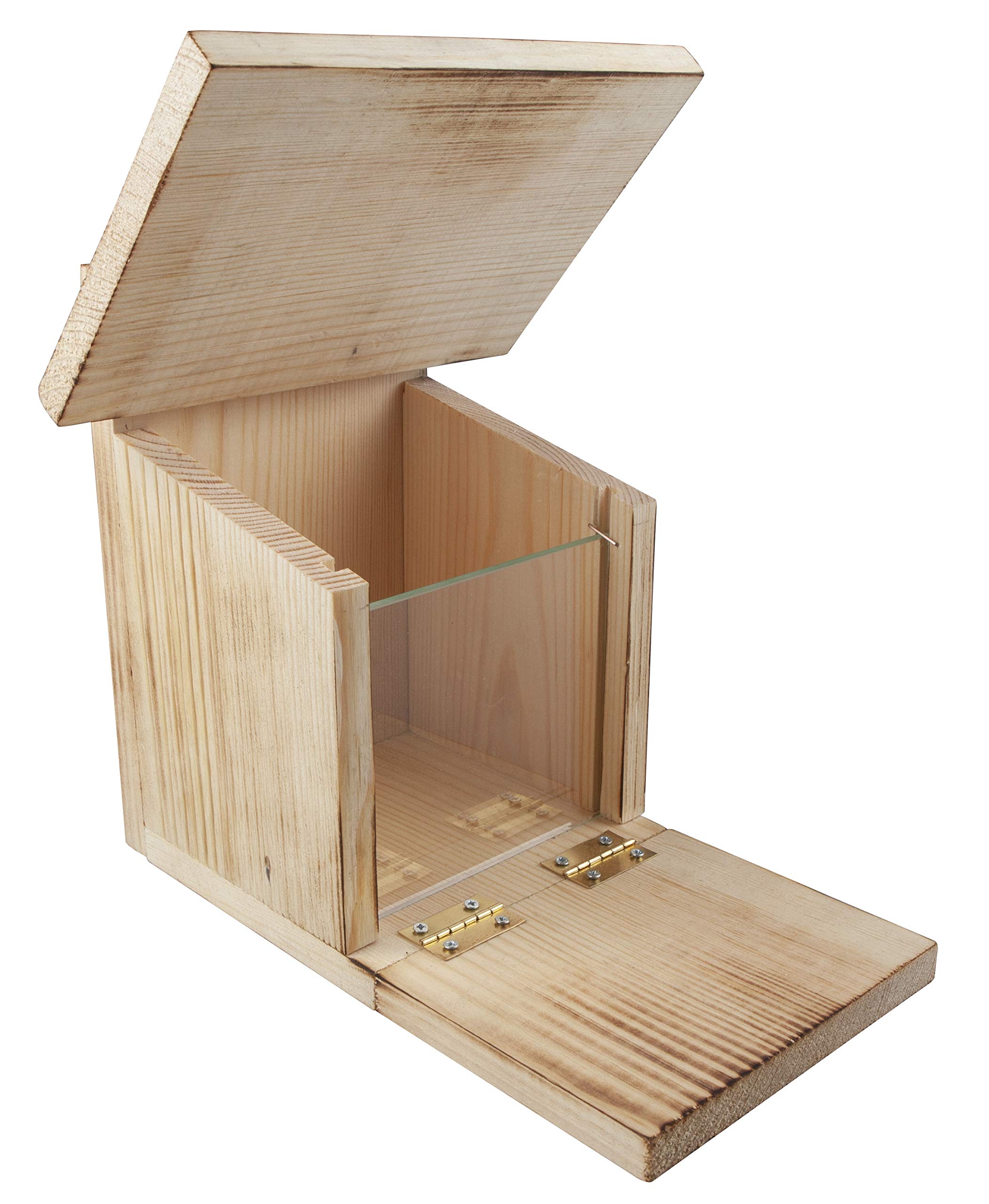 Windhager Mangiatoia per mangiatoie con scoiattolo, mangiatoia, mangiatoia, stazione di noce, aiuto per l'inverno, scatola per il cibo in legno 05586