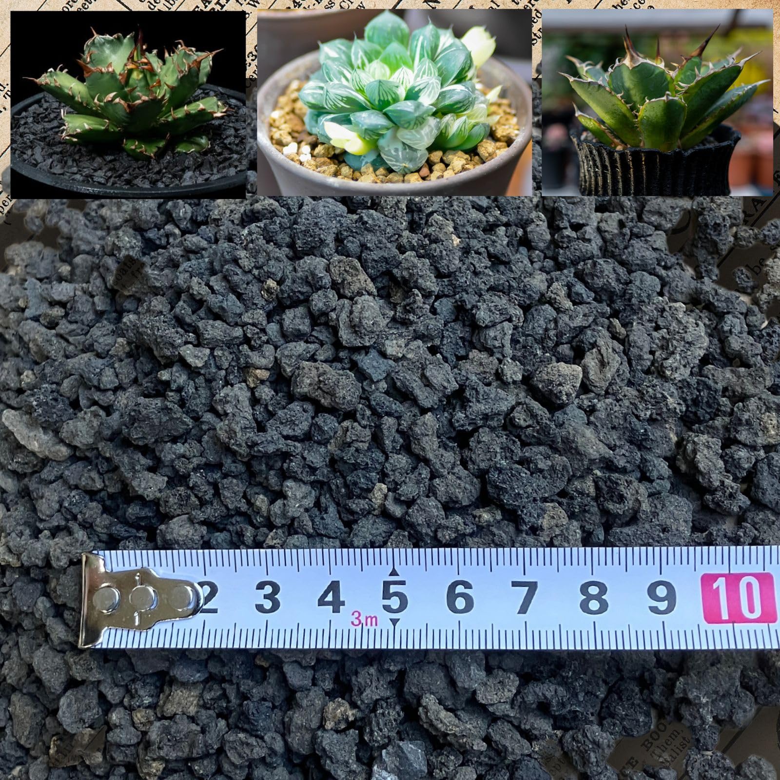 Amazon.co.jp: Leap Raupe 【5回洗浄済】 富士砂 化粧砂 化粧石 黒