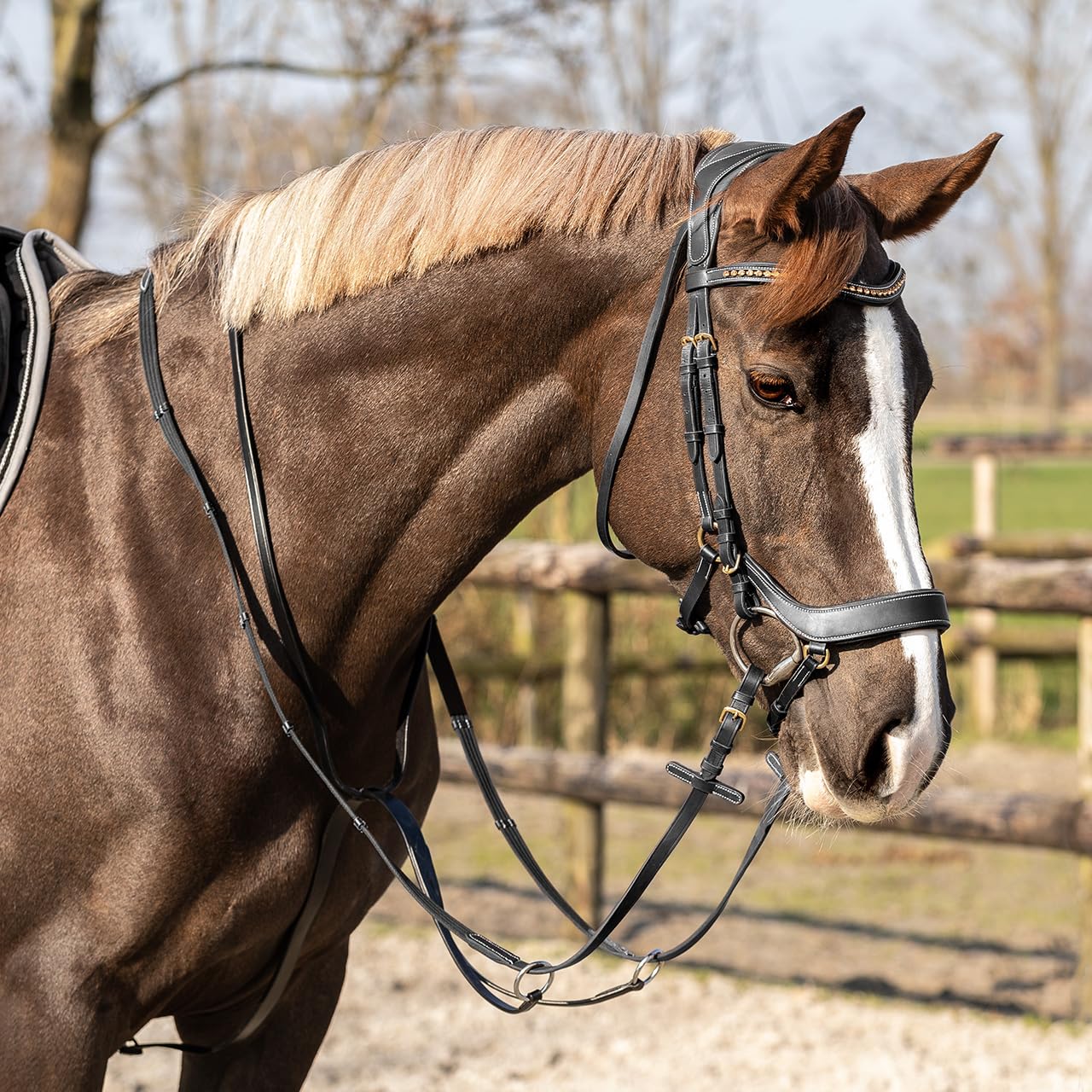 NETPROSHOP Leder Martingal mit Edelstahlschnallen 2-Fach verstellbar Shetty Pony Cob Full, Groesse:Shetty, Farbe:Schwarz