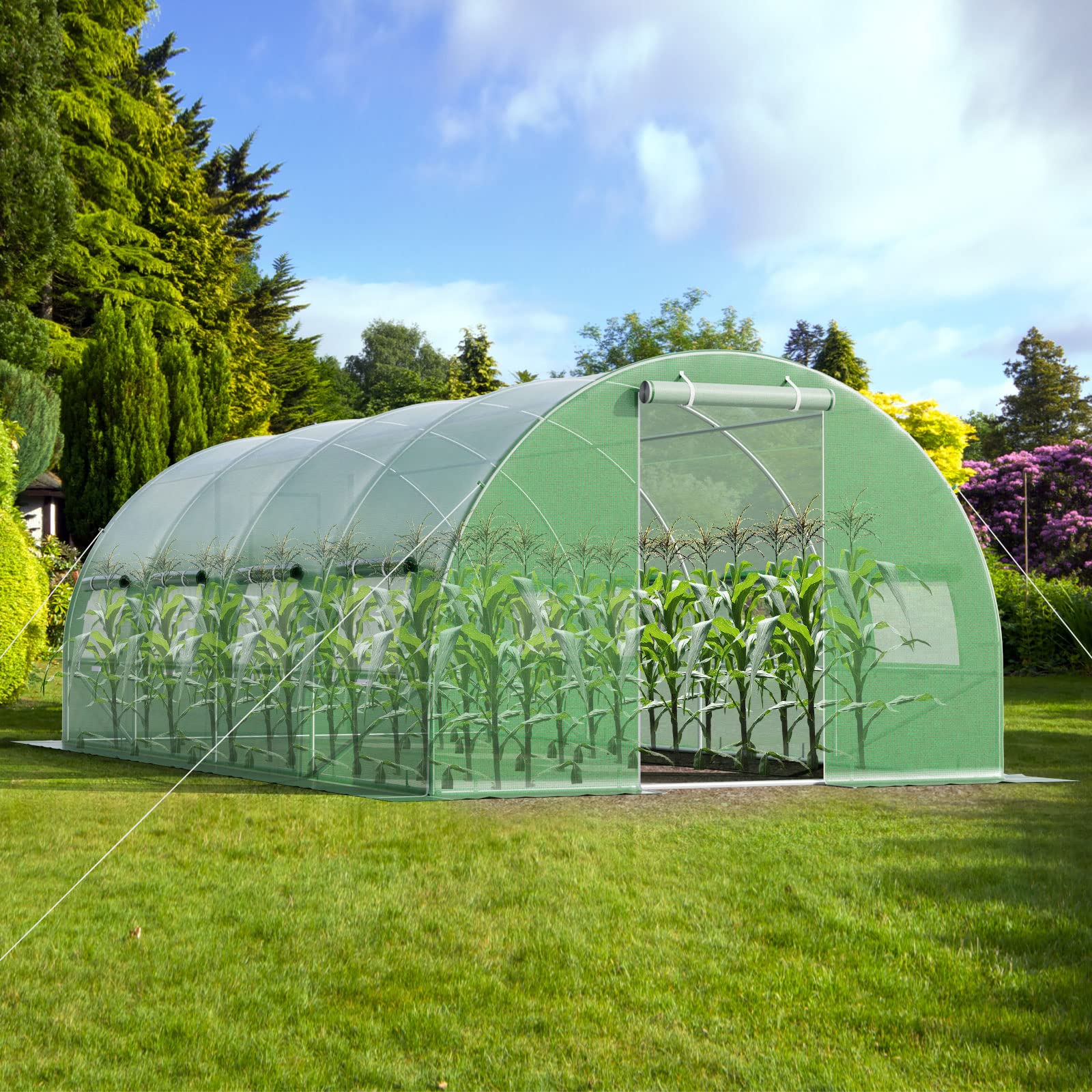 HOMASIS Serra da Giardino in Pellicola, Serra Tunnel con Finestre e Porte Avvolgibili, Serra per Orto Robusta, Verde (6 x 3 x 2 m)