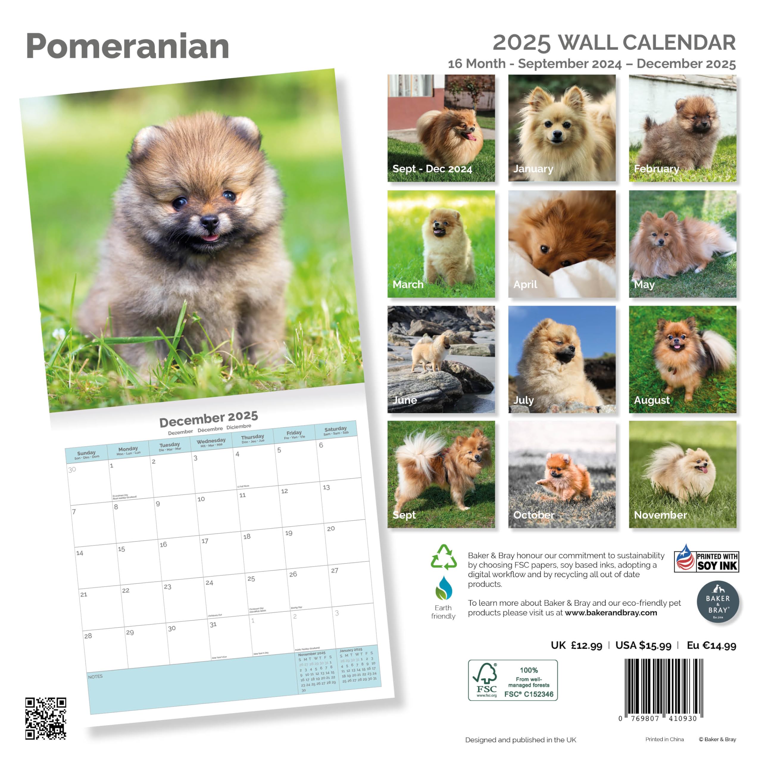 Baker and Bray Pomeranian Calendar 2026, Large Square Wall Calendar With Organisational Stickers, 16 Month - Image 2