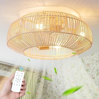 20'' Boho Rattan Ceiling Fan with Light, Coastal Caged Ceiling Fans with...