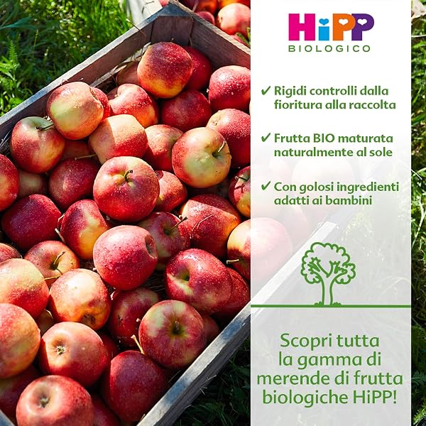 HiPP - Omogeneizzato Di Frutta, Gusto, 24 Vasetti Da 125 G, Mela, Banana E Biscotto, 3000 Grammo - 5