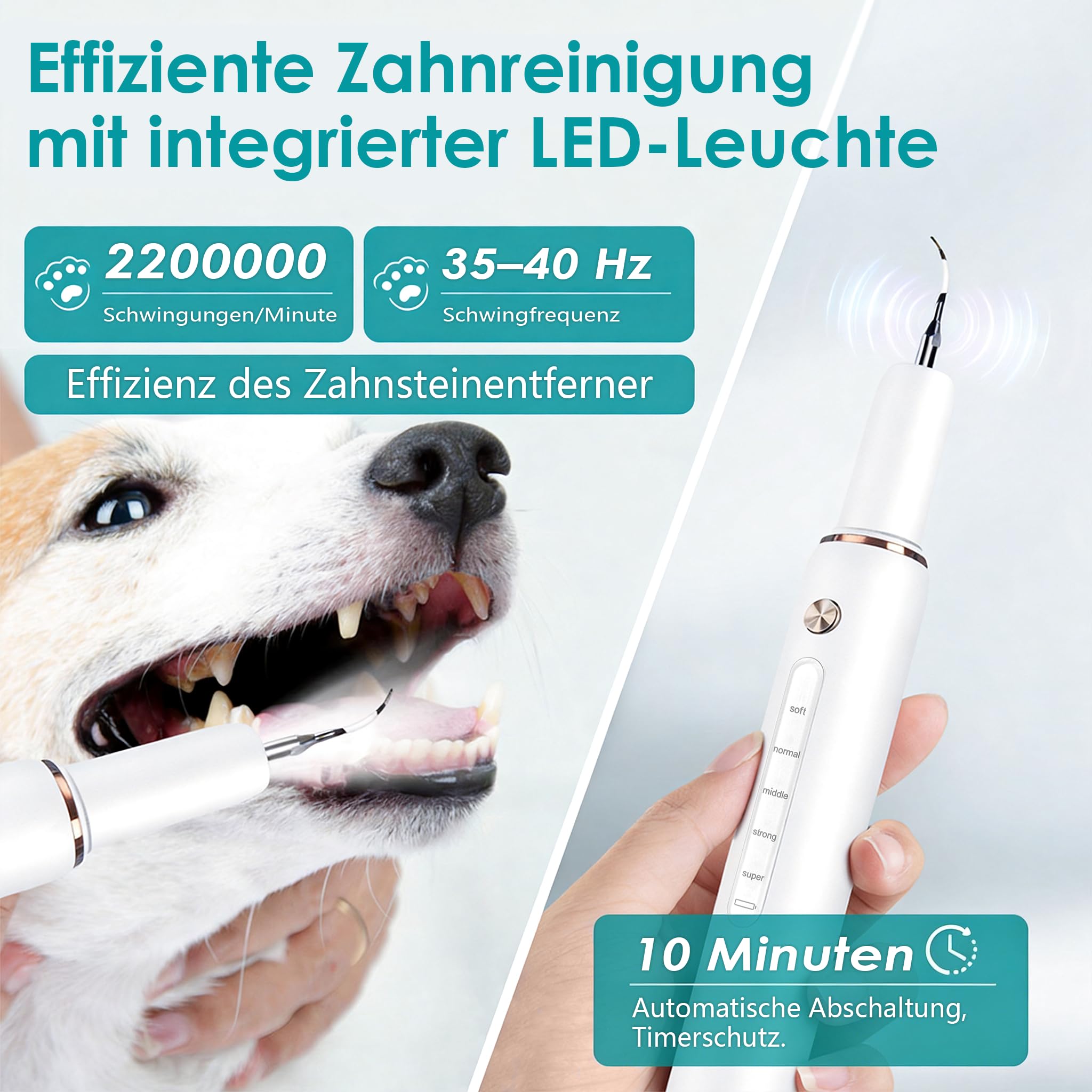 FIVAVA Zahnsteinentferner Hunde, Zahnreinigungsset Ultraschall für Hund, 5 Reinigungsmodi, zur Entfernung von Zahnstein & Zahnbelag, mit LED-Licht, wiederaufladbar